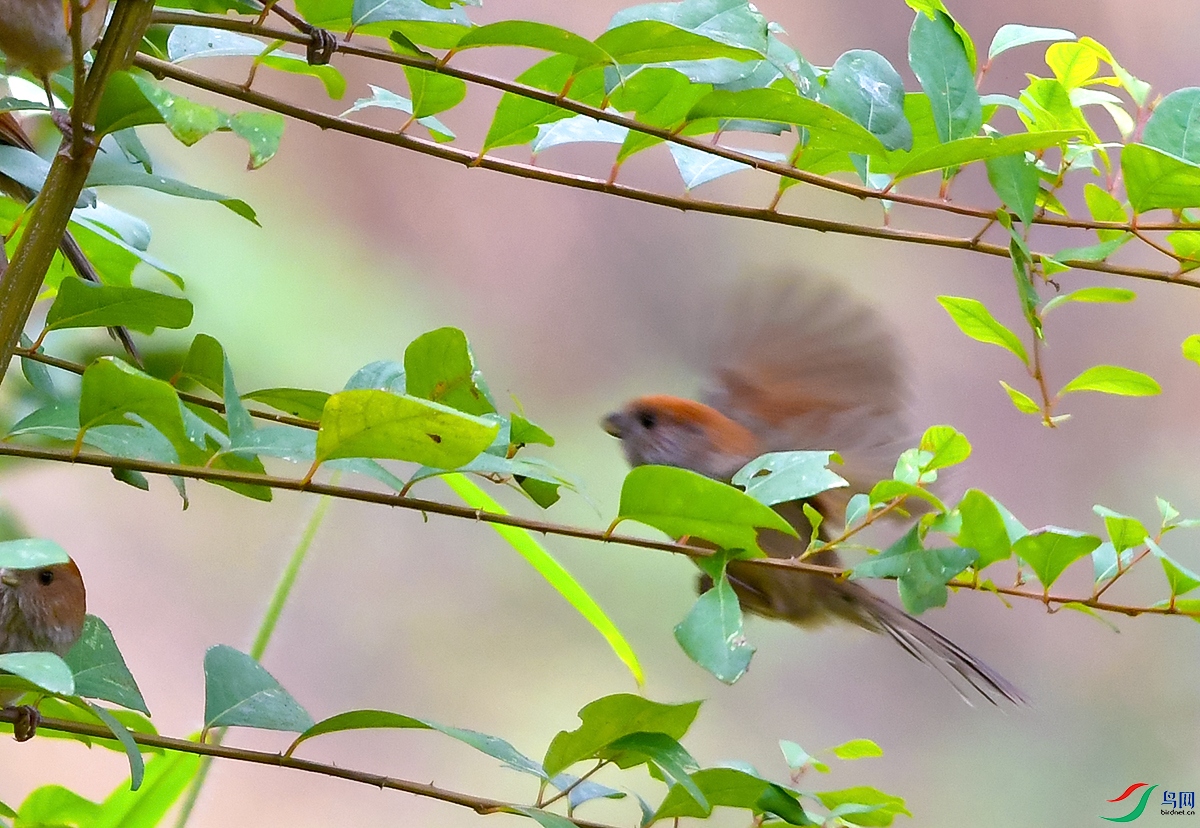 DSC_2888.JPG
