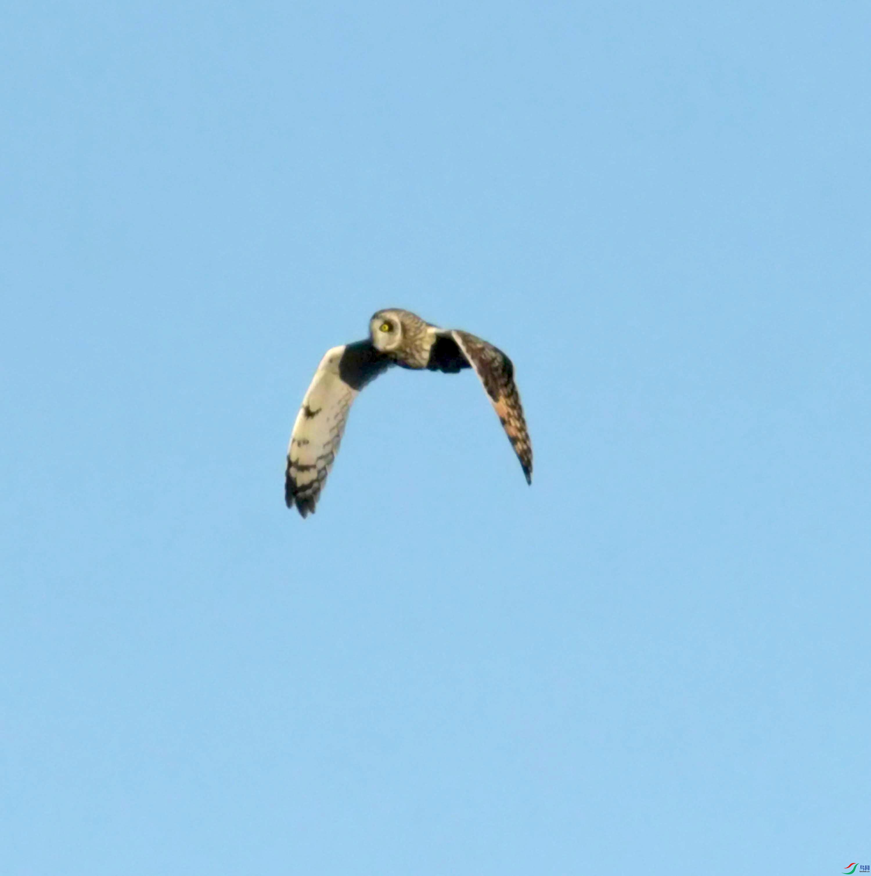 DSC_8988.JPG