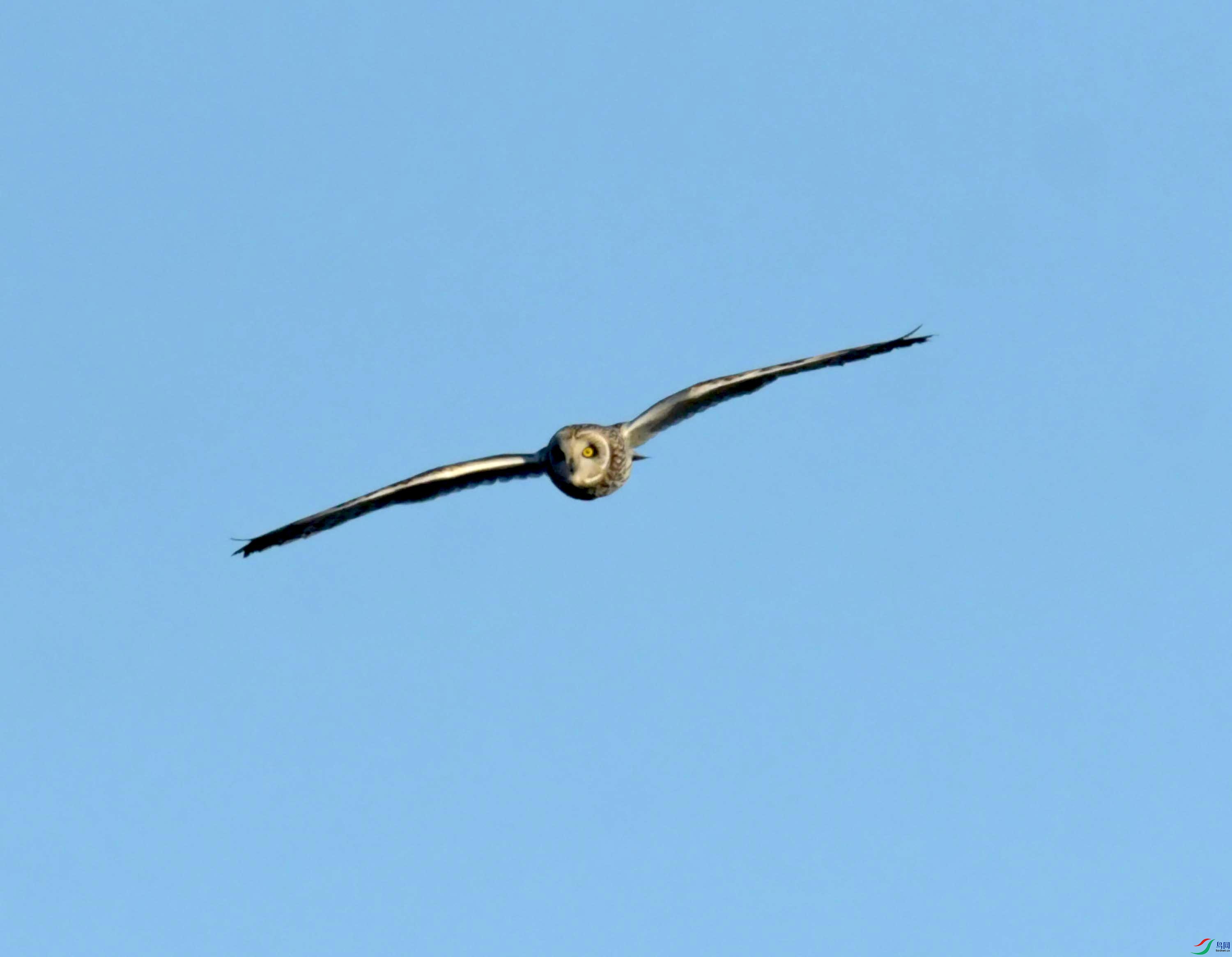 DSC_9004.JPG