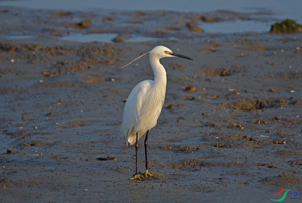 DSC_0042.jpg