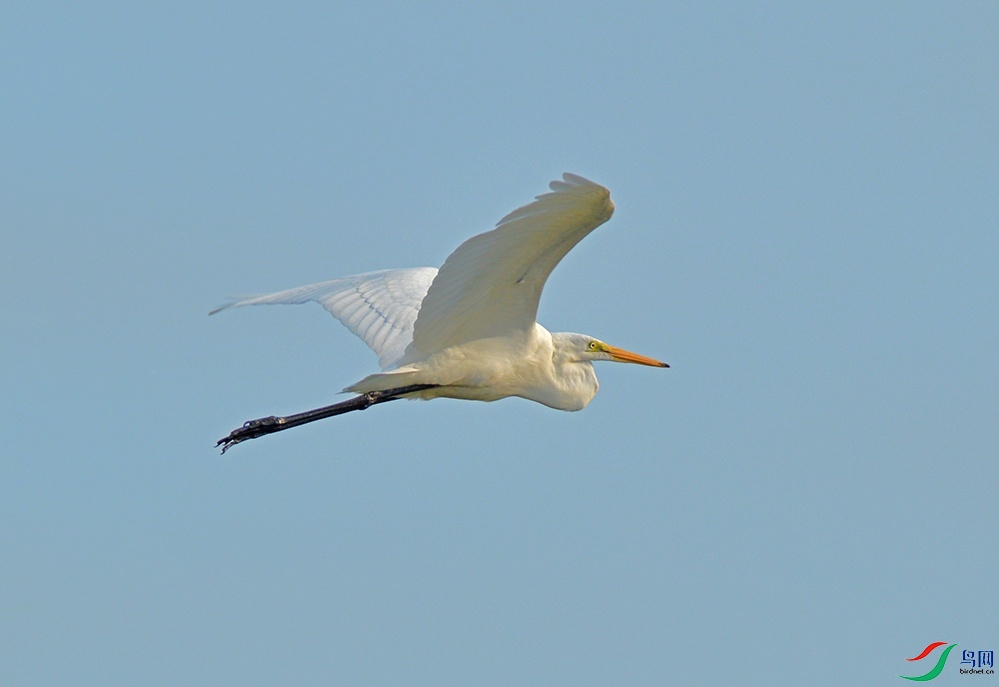 DSC_0230.jpg