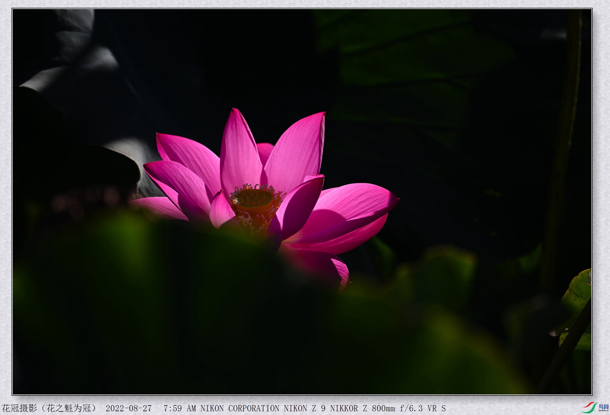 DSC_3541B-1_����.jpg