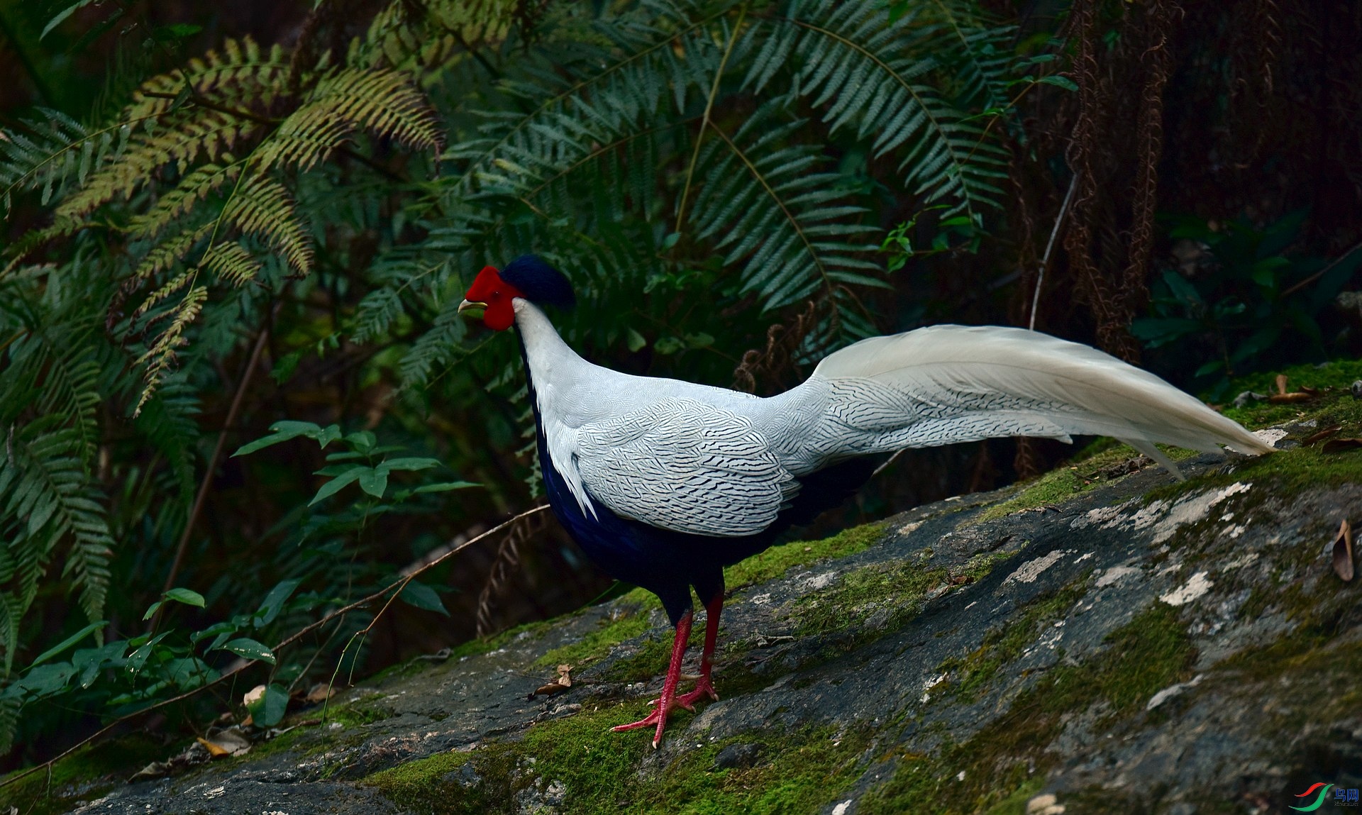 D8I_3042.jpg