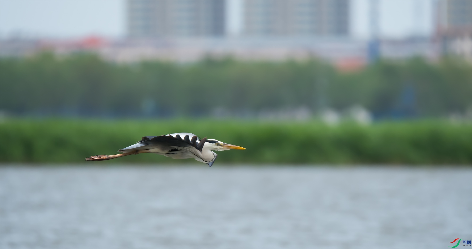 DSC_9179-1.jpg