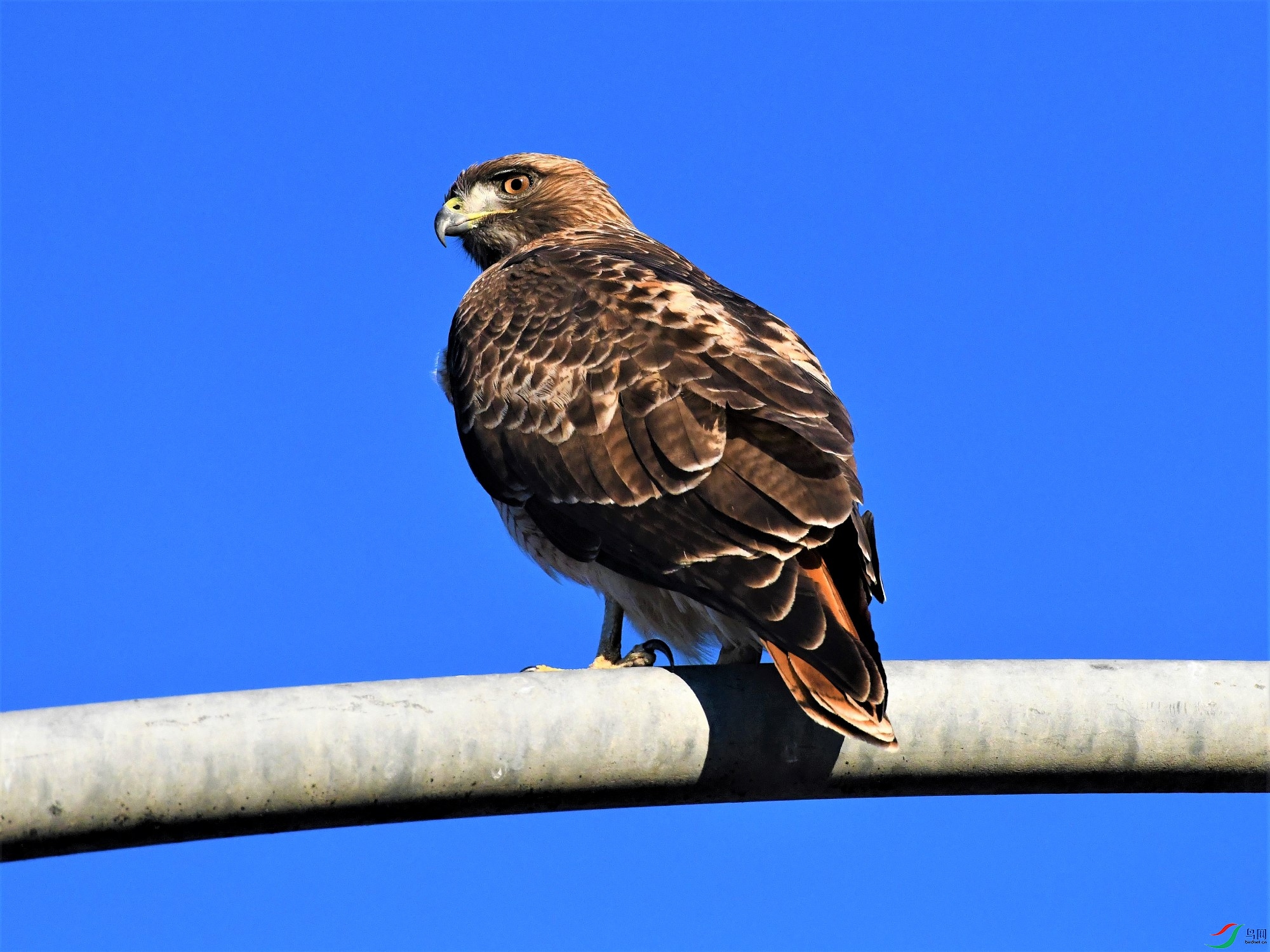 DSC_6941-ӥ-2000-KCSX-1221.jpg