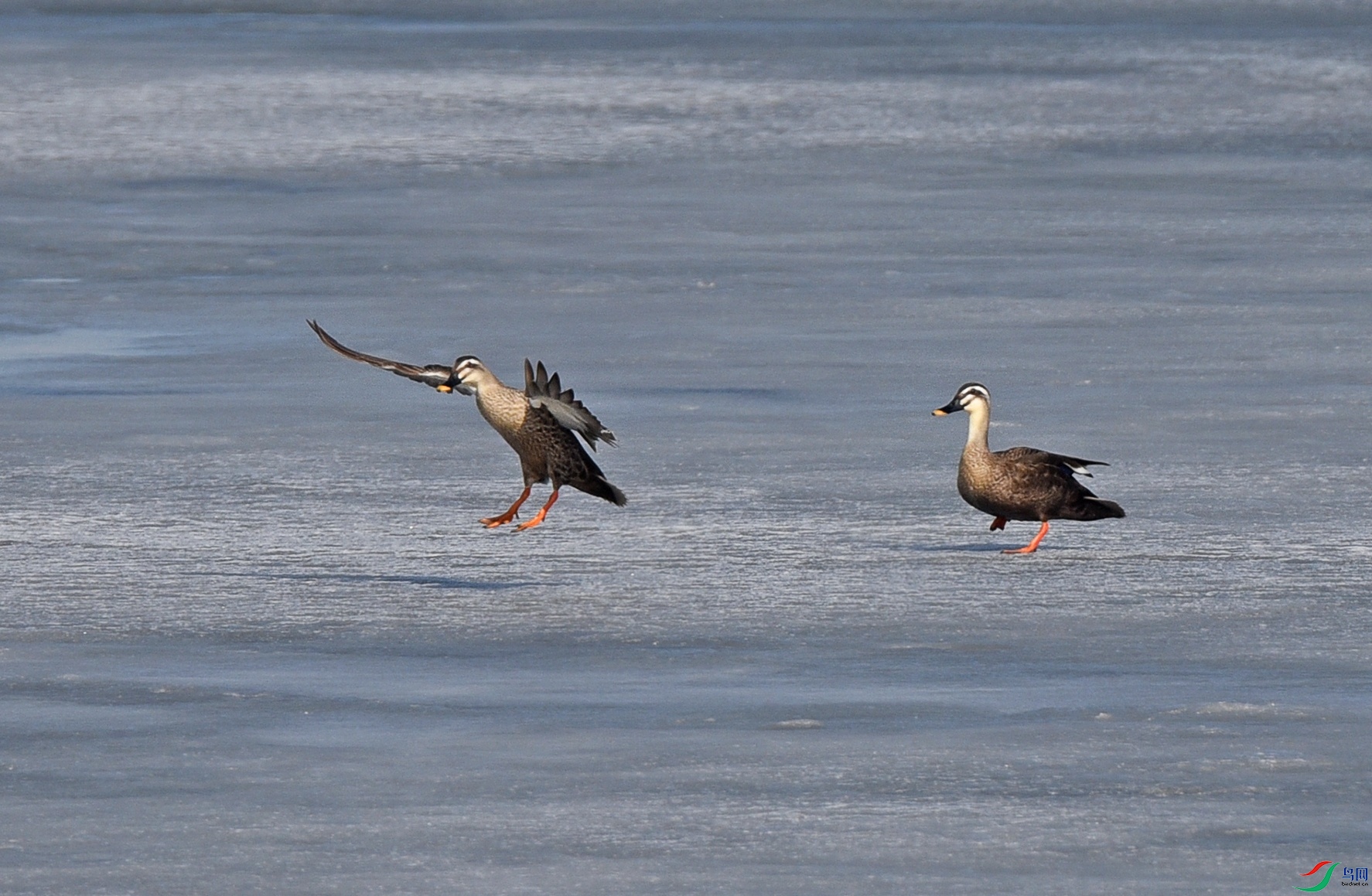 DSC_5739d_��ͼ��.jpg