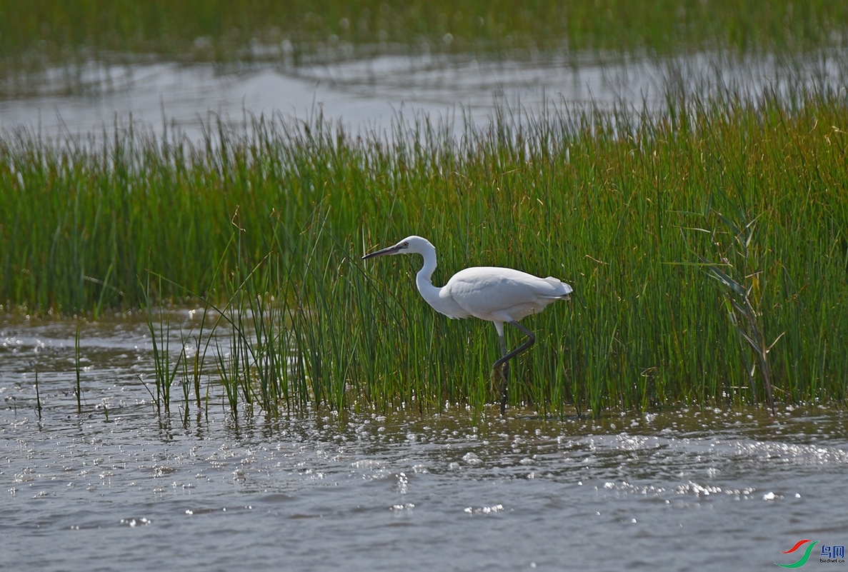 DSC_5245.jpg