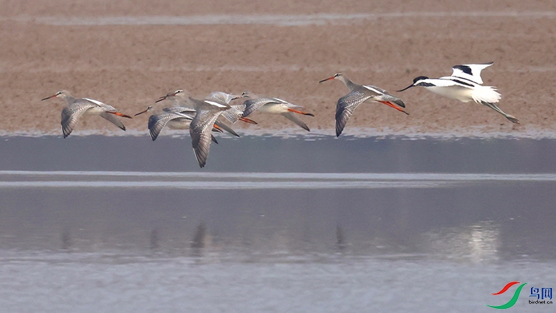 A28A6210-.jpg