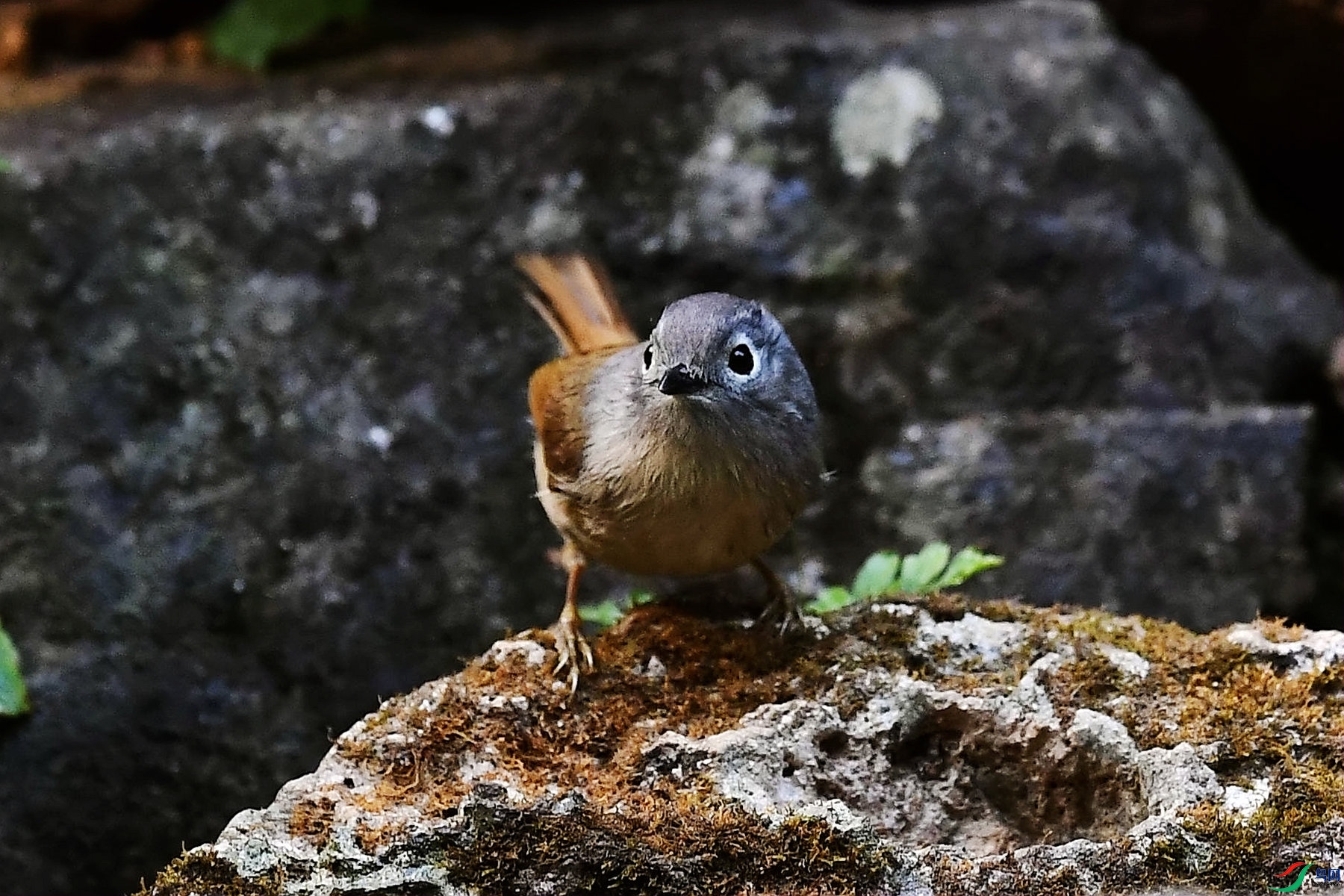 DSC_9070_����.jpg