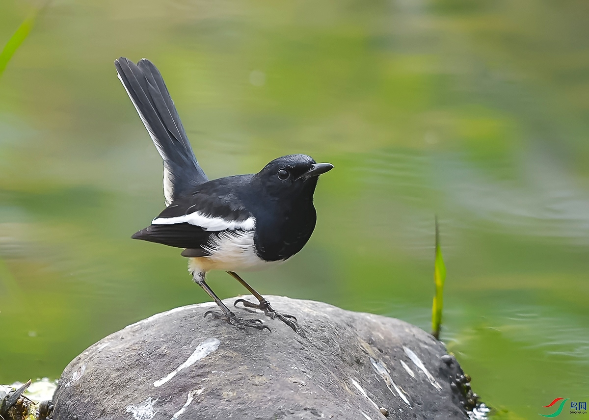 DSC_0049.JPG