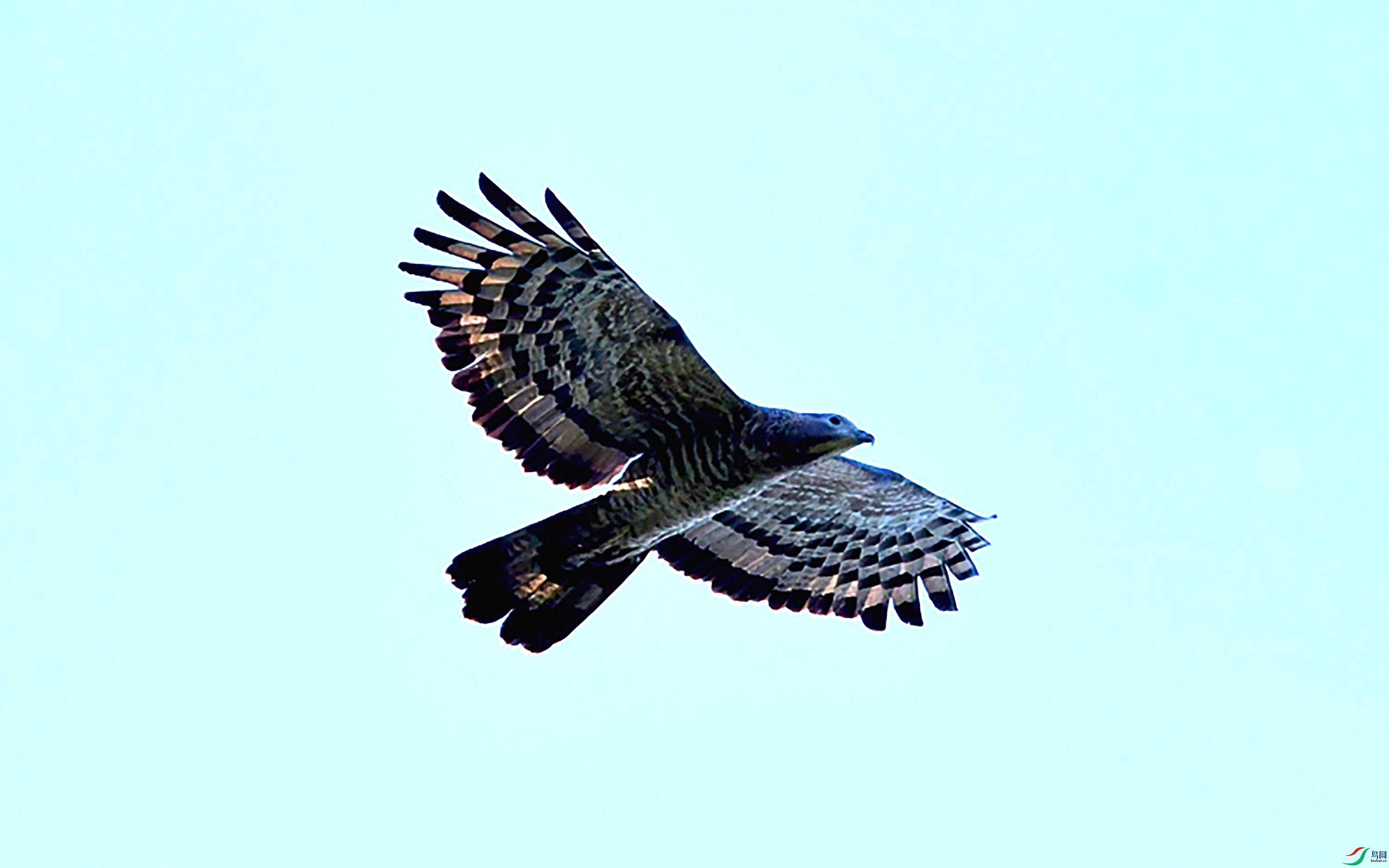 DSC_5481_��ͼ��.jpg