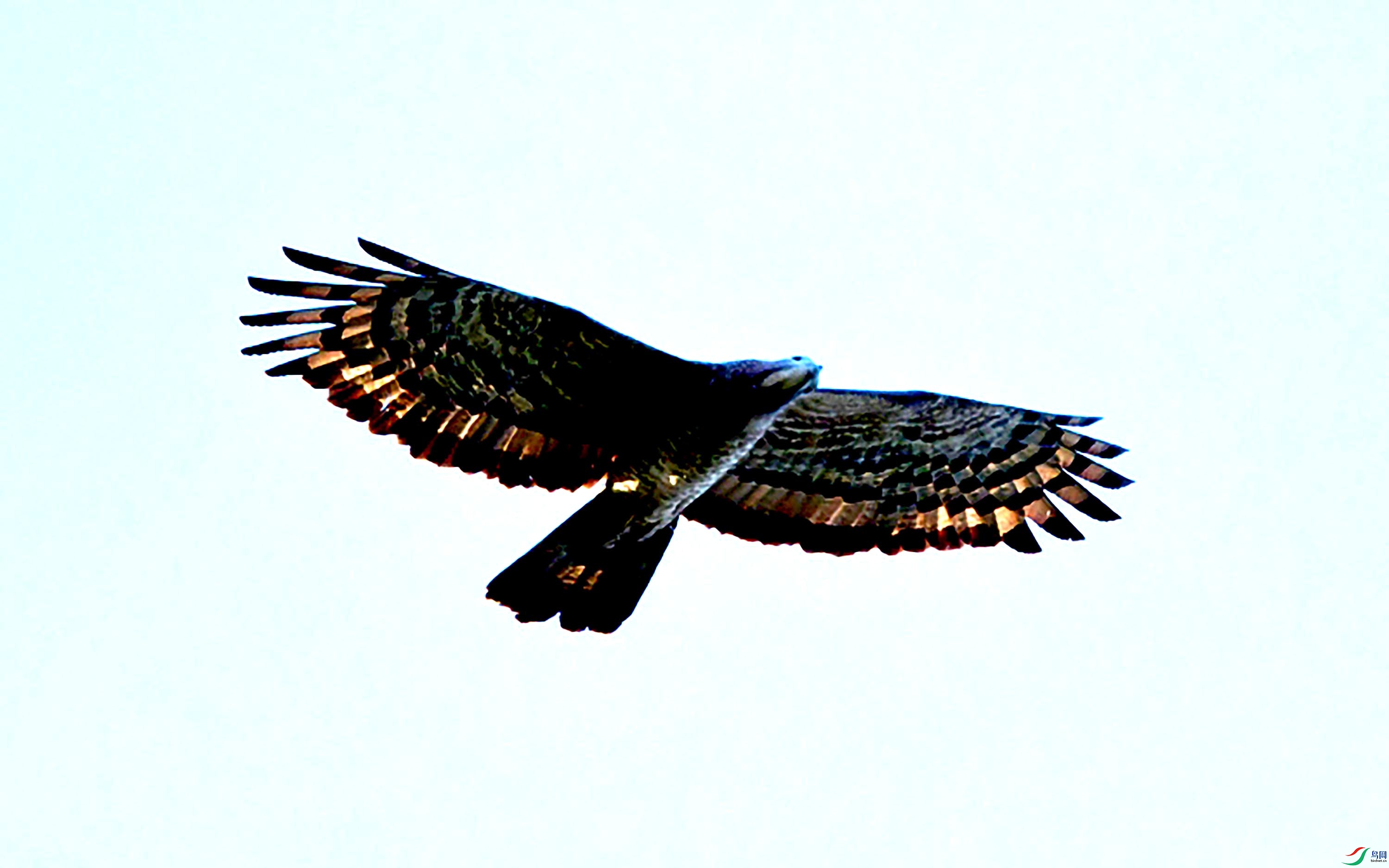 DSC_5482_��ͼ��.jpg