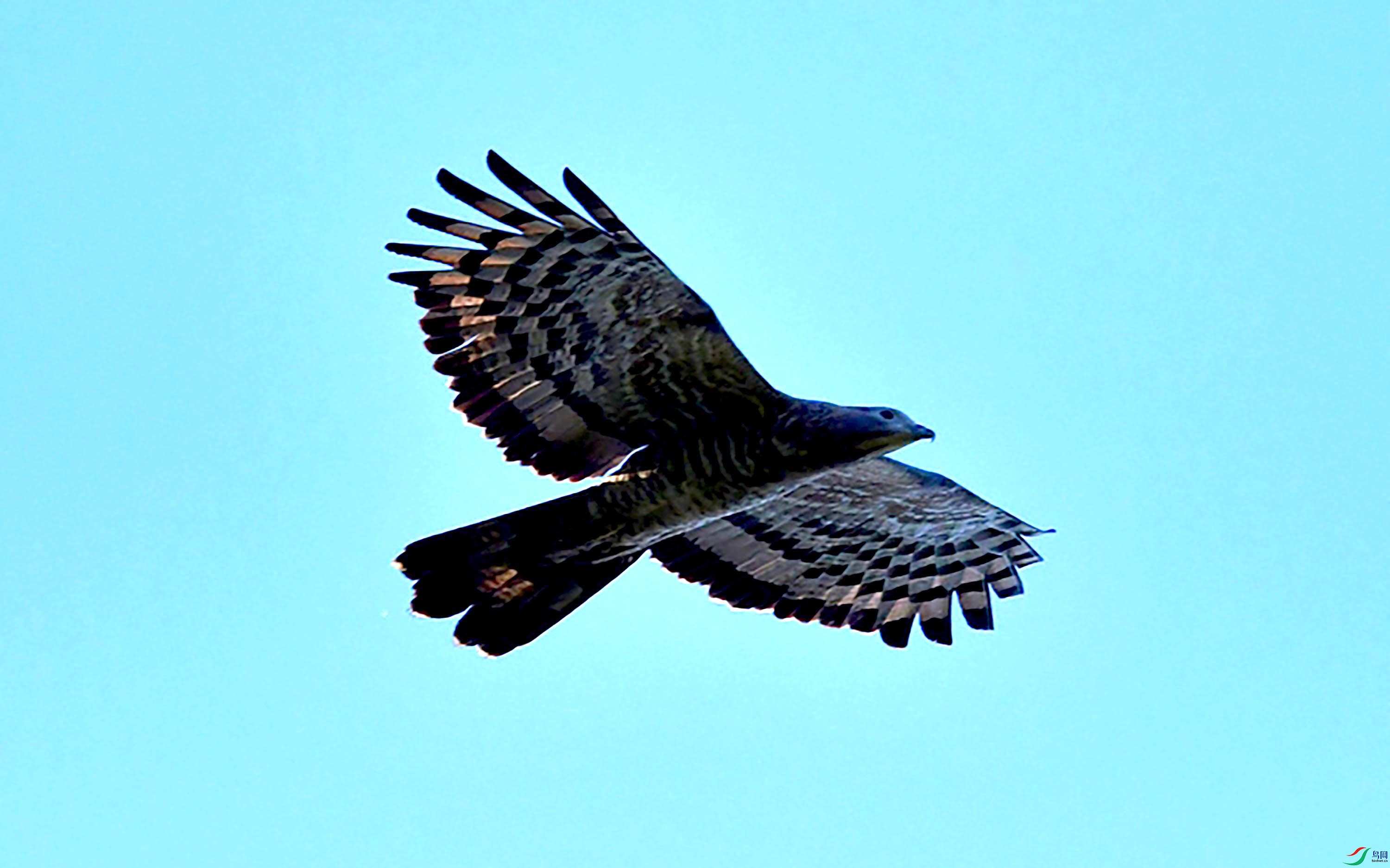 DSC_5480_��ͼ��.jpg