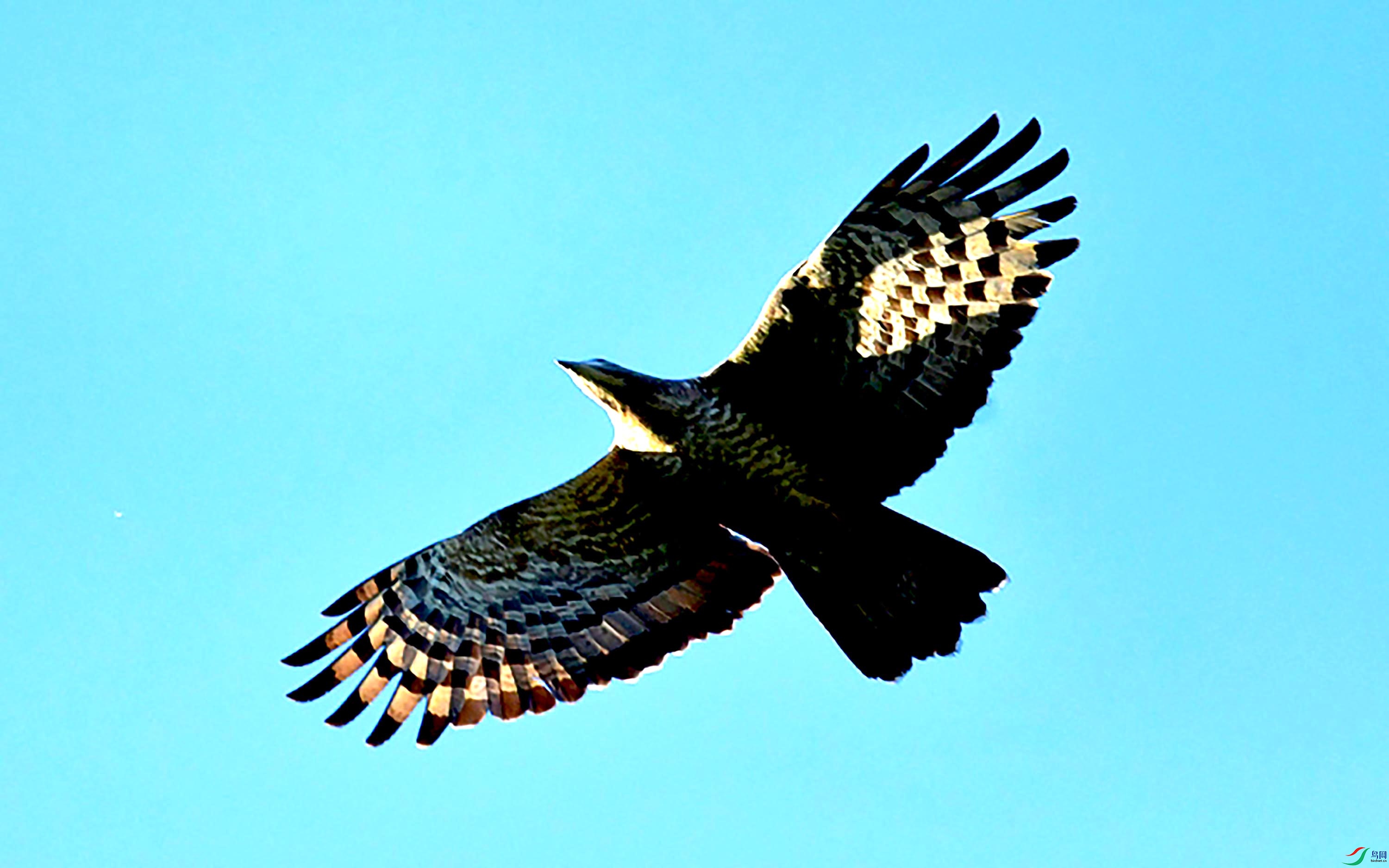 DSC_5471_��ͼ��.jpg