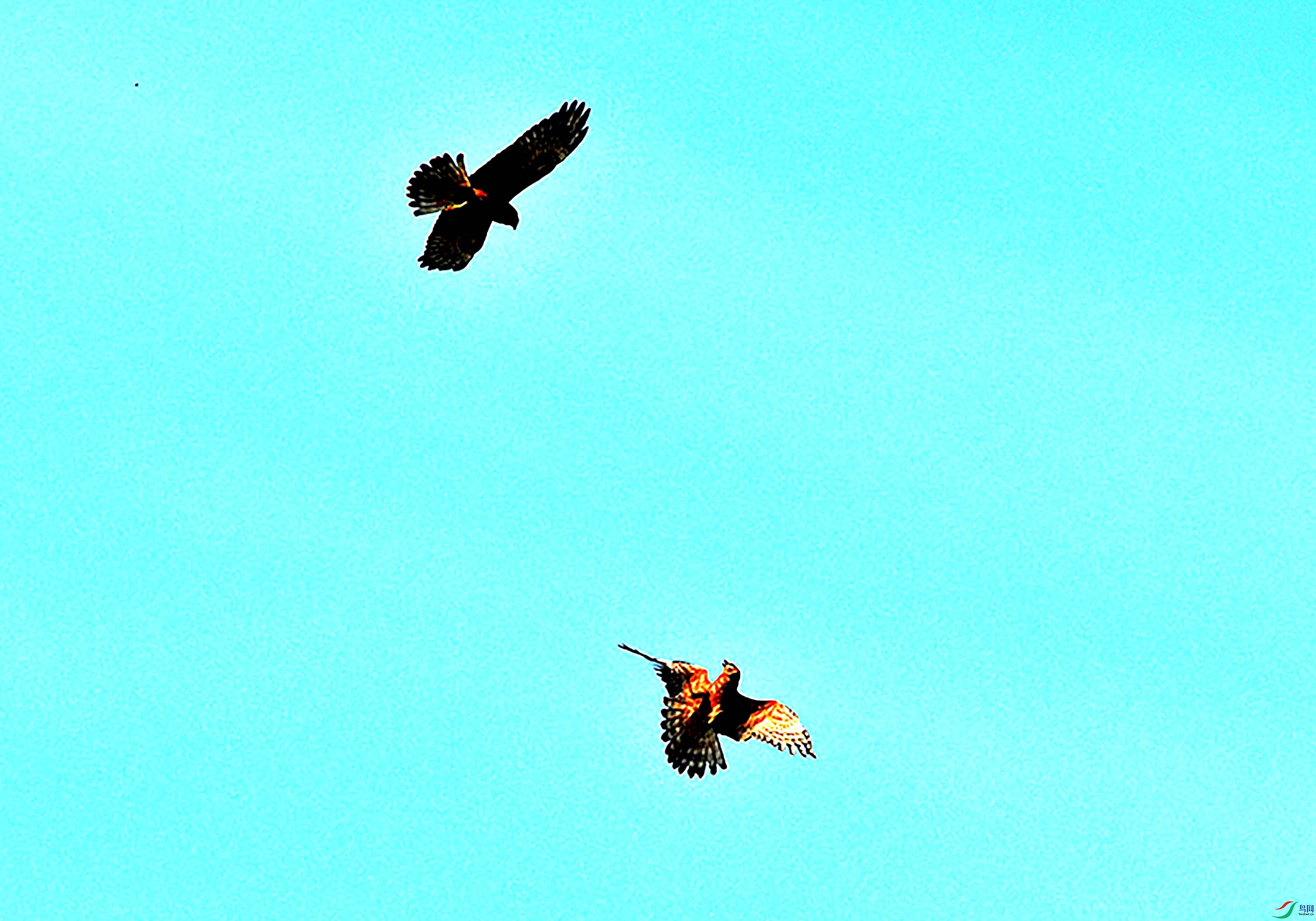DSC_9736.JPG