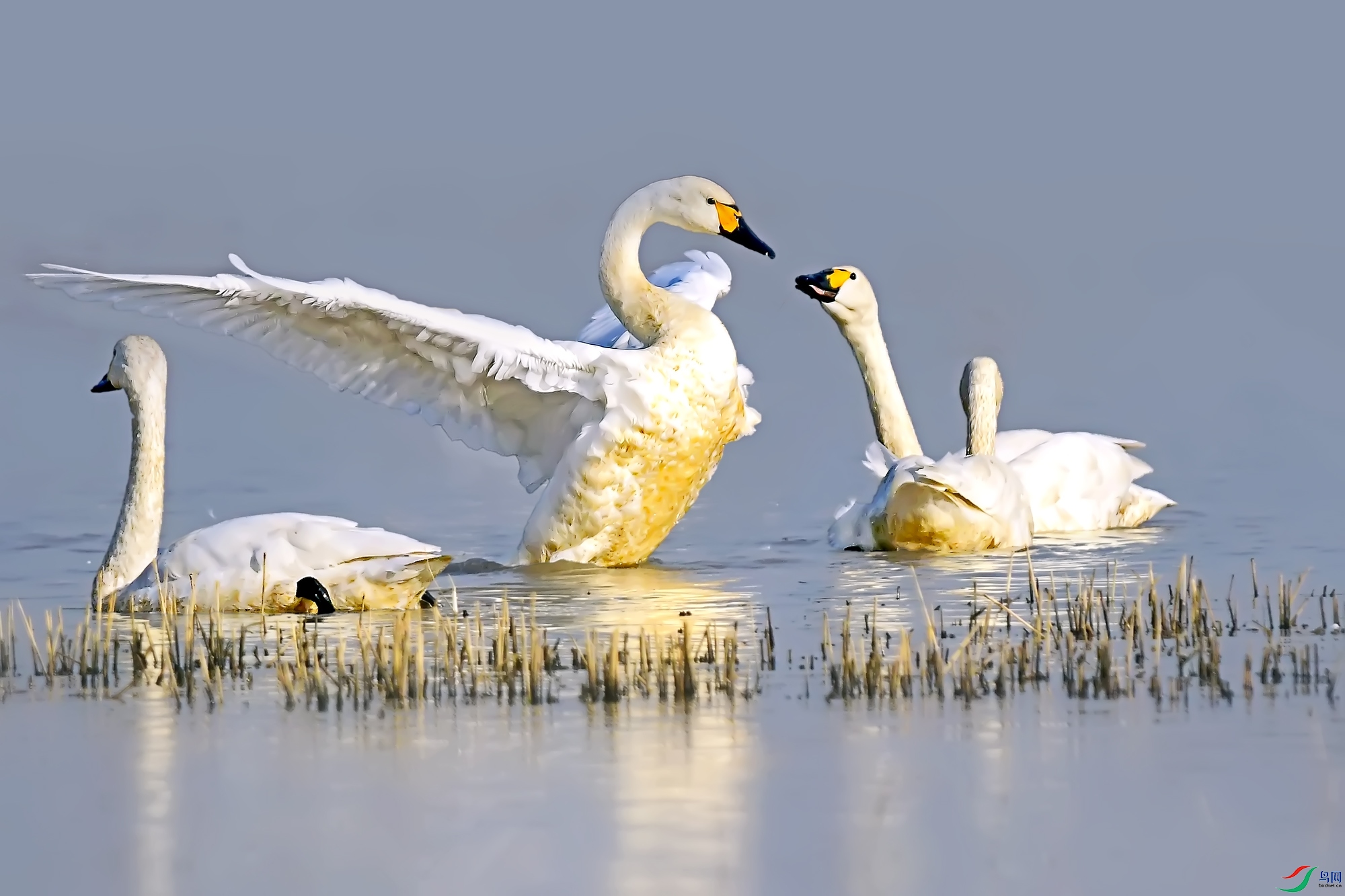 DSC_7080.jpg