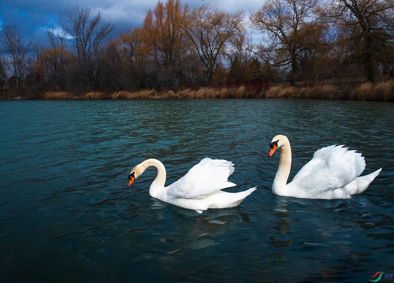 DSC_3566AA_��ͼ��_��ͼ��_��ͼ��a.jpg