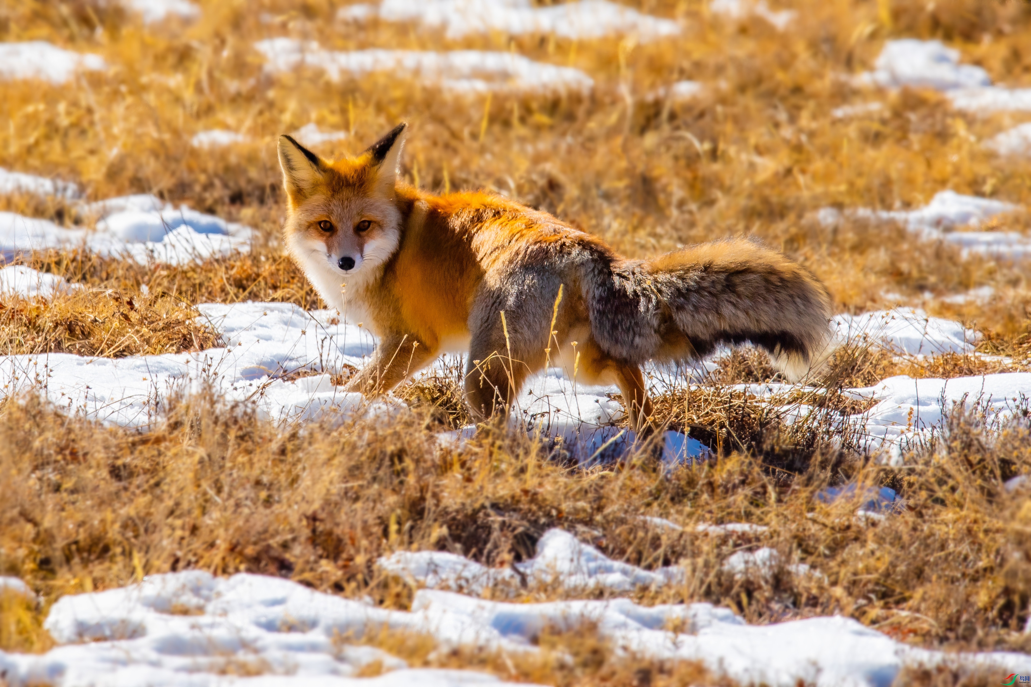 DSC_0841.jpg