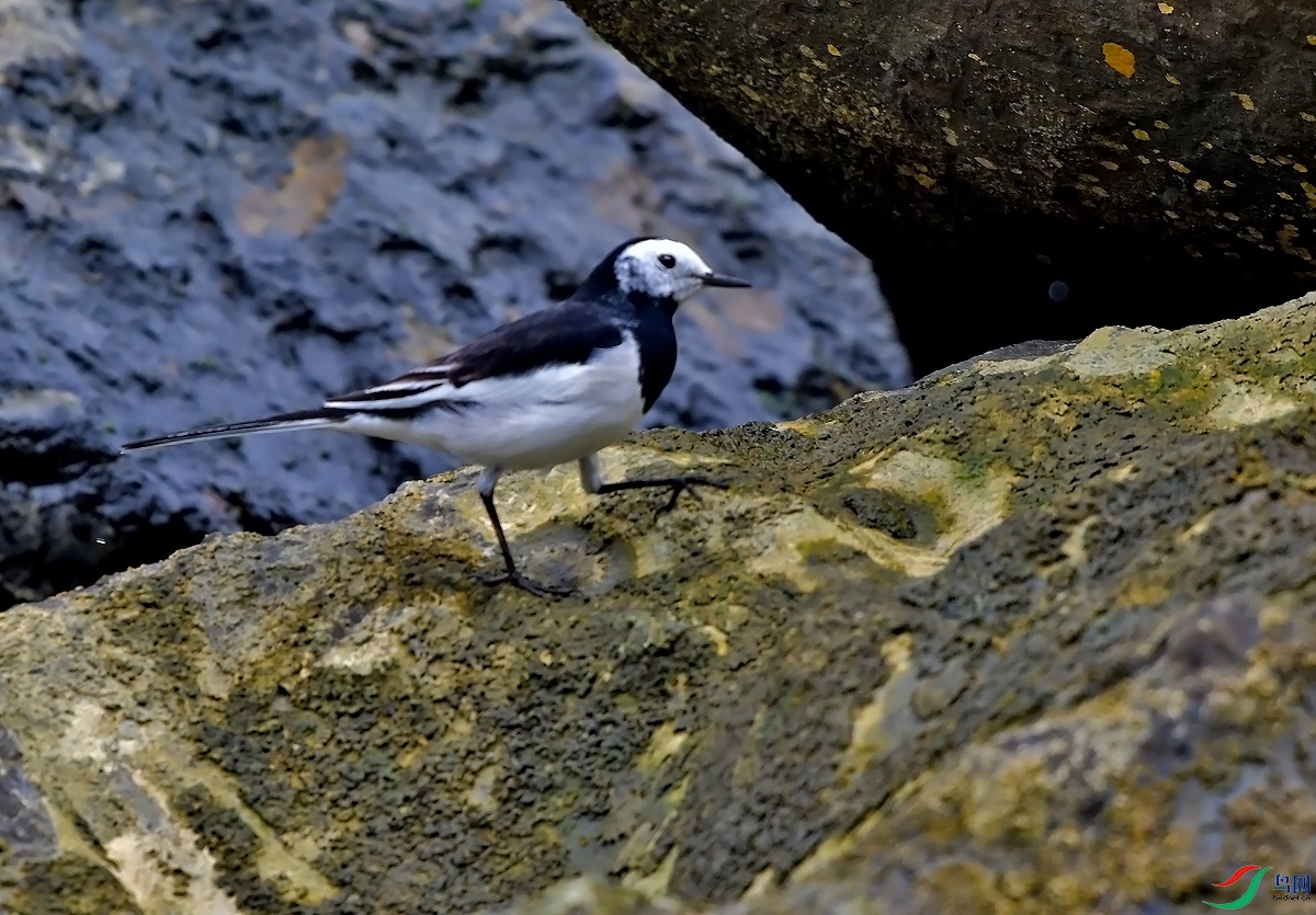 DSC_0792.JPG
