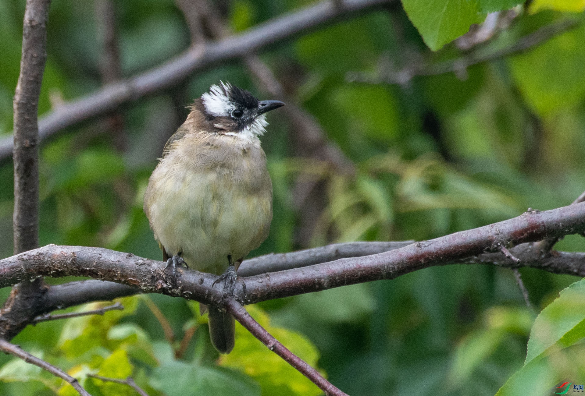 DSC_5591.jpg