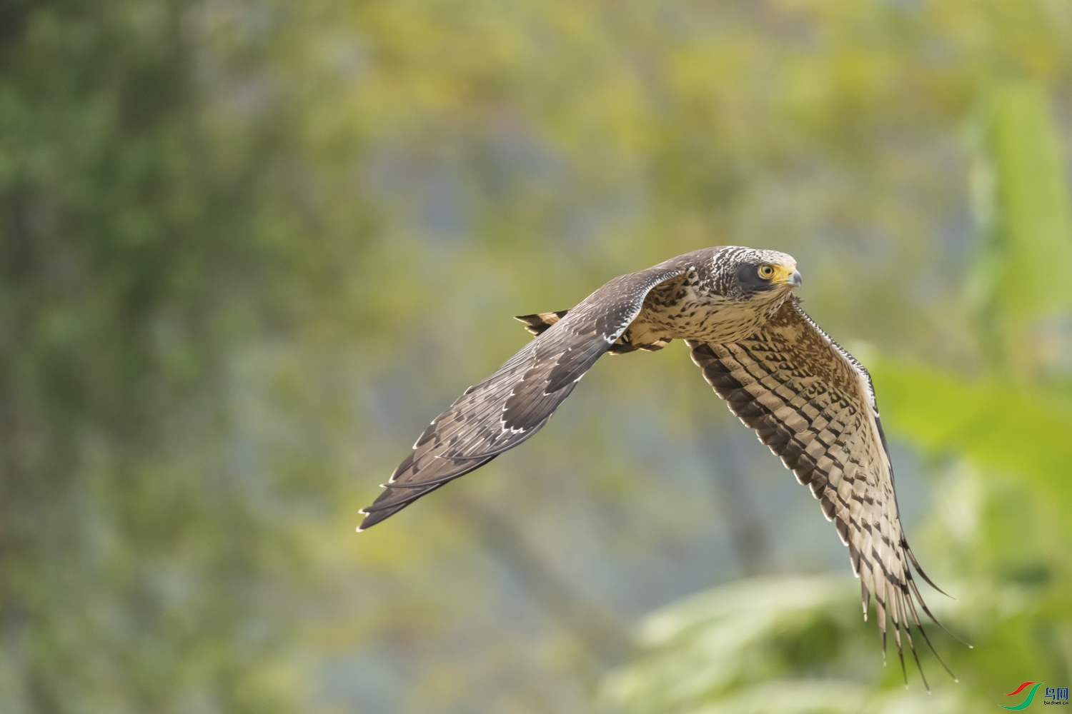 DSC_6192_1.jpg