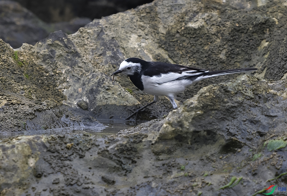 DSC_0804.JPG