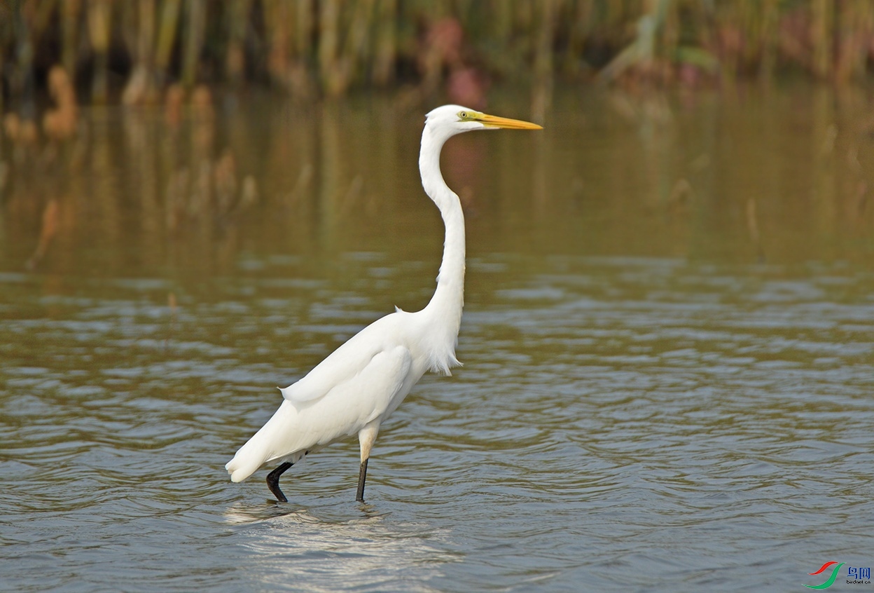 DSC_0162.jpg