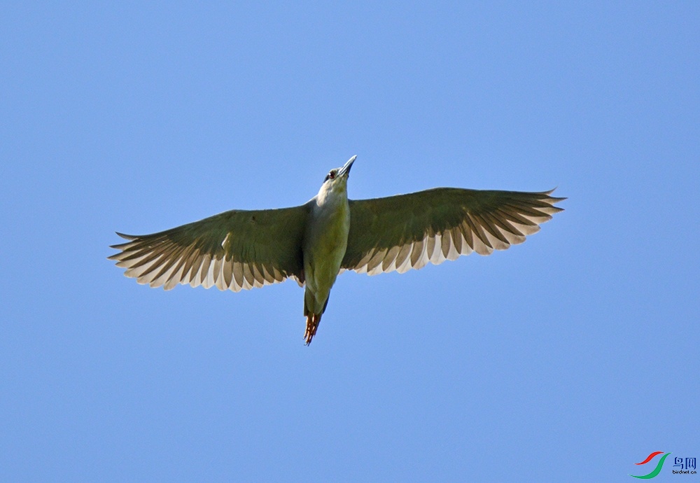 DSC_0089.jpg