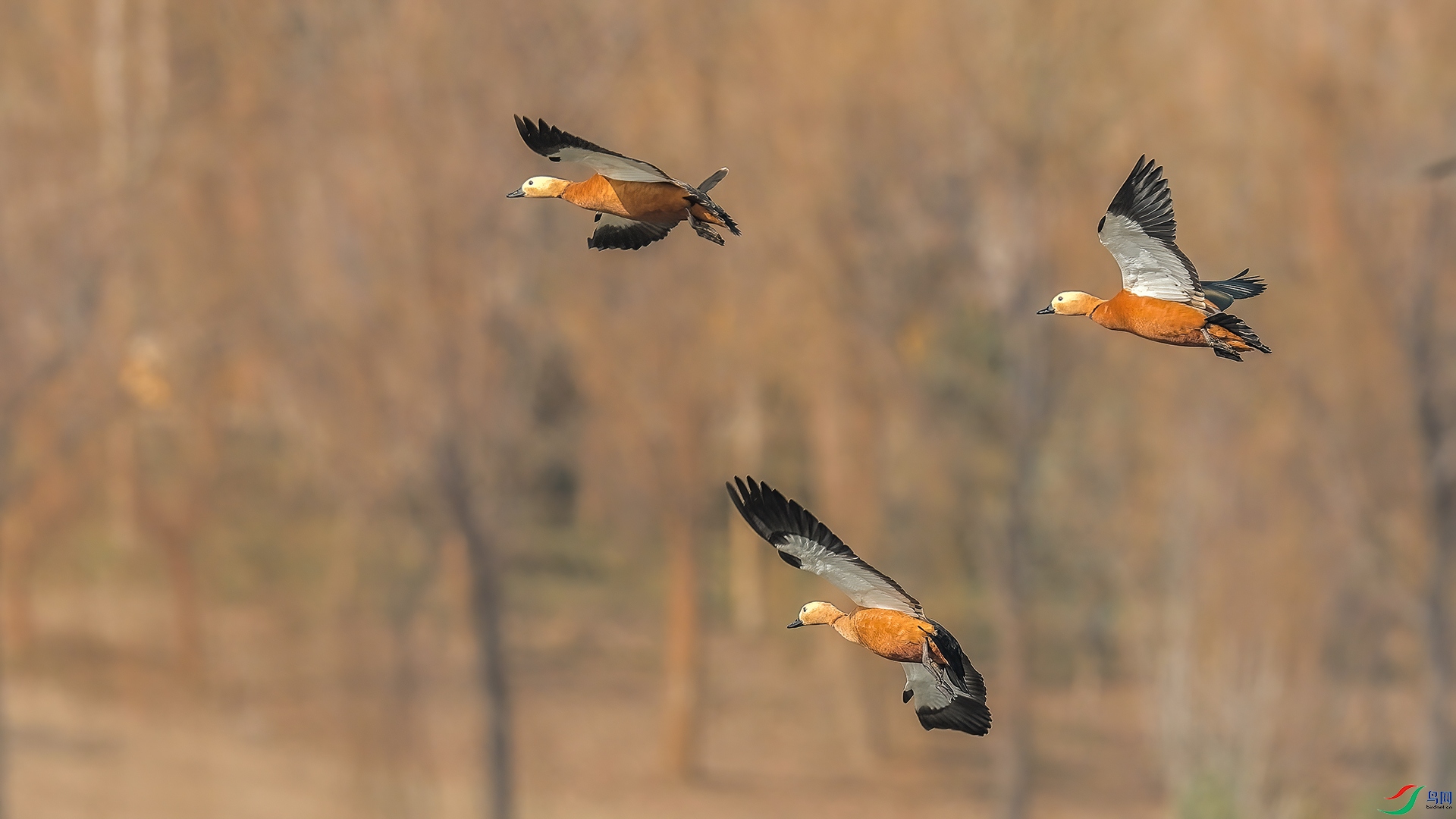 055A2183.jpg