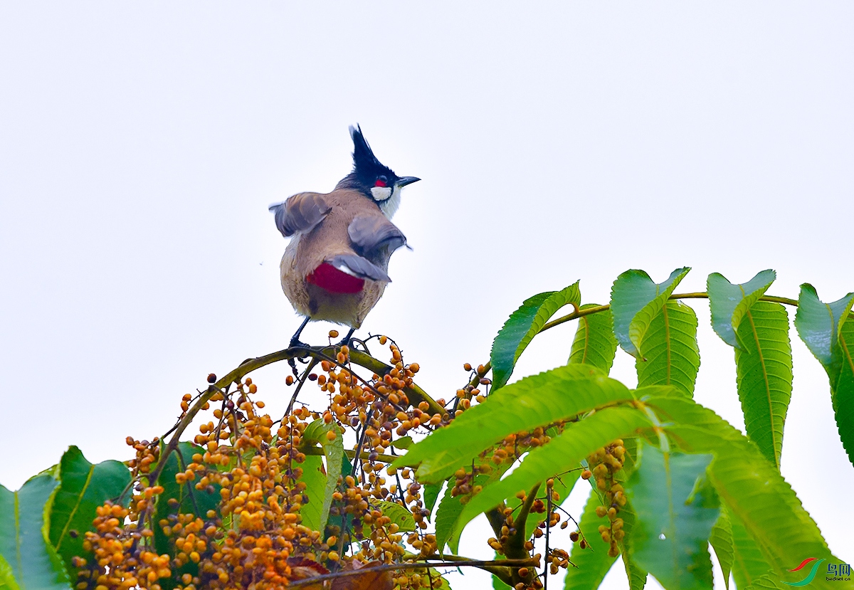 DSC_7040.JPG