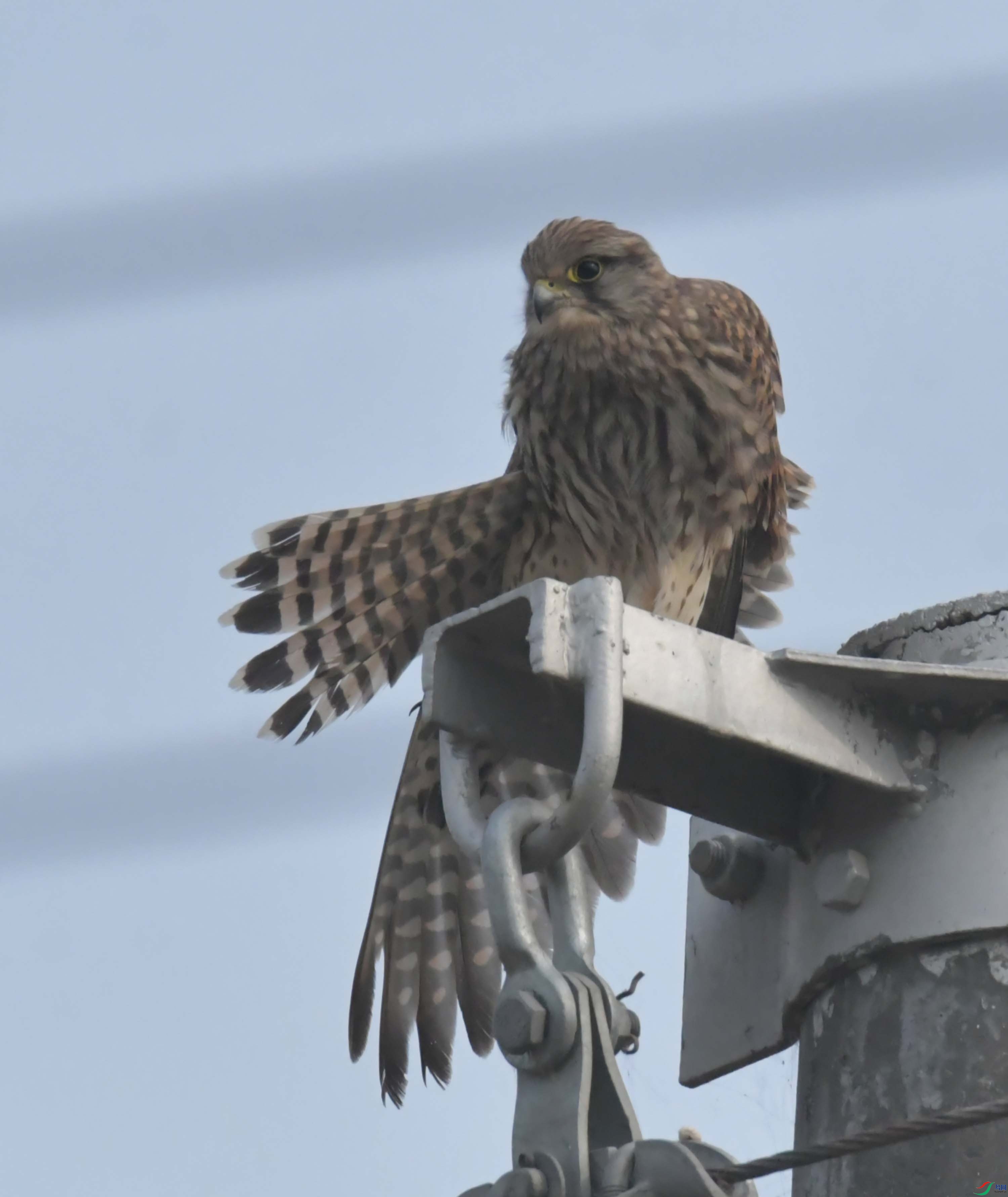 DSC_0384.JPG