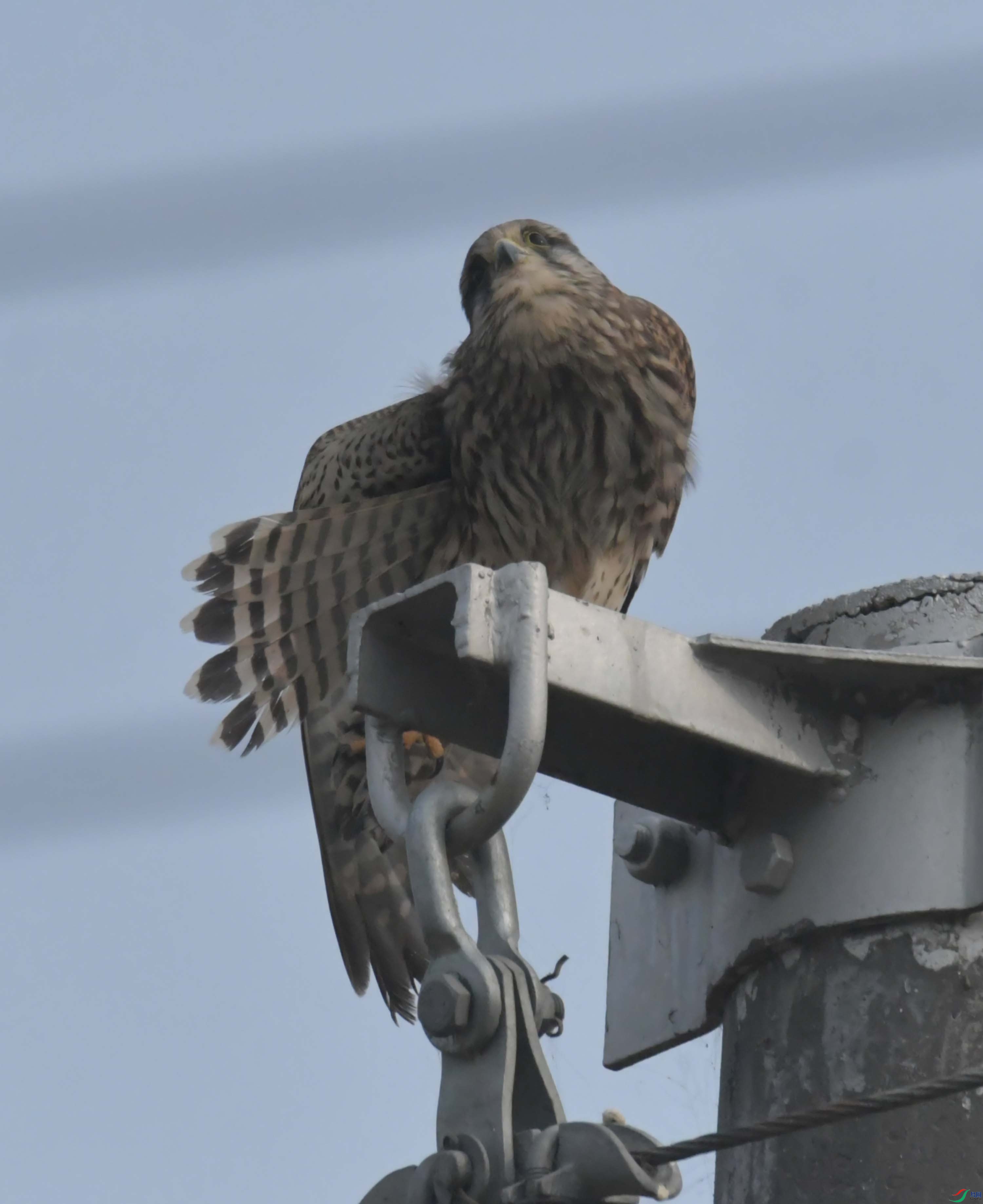 DSC_0390.JPG