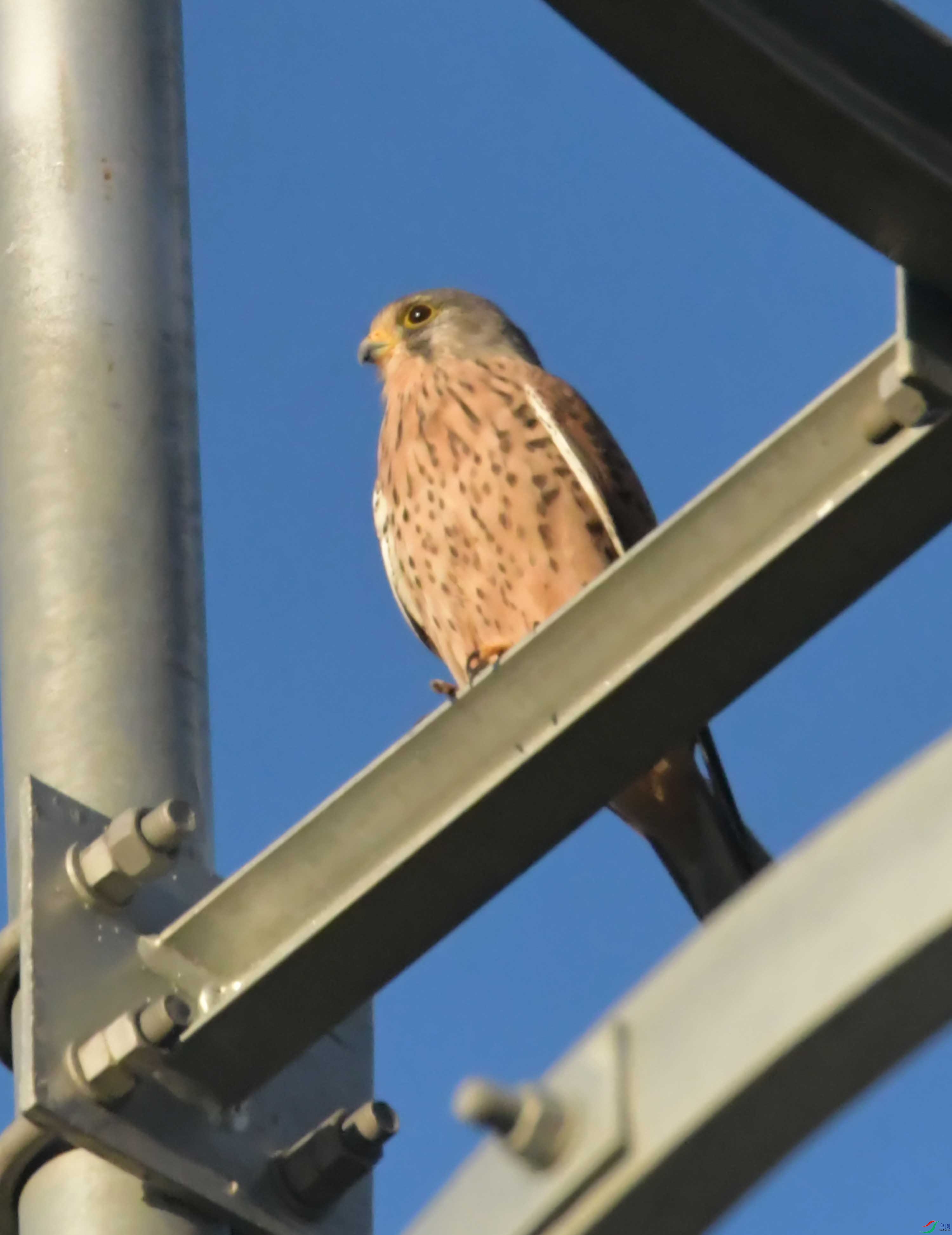 DSC_2822.JPG