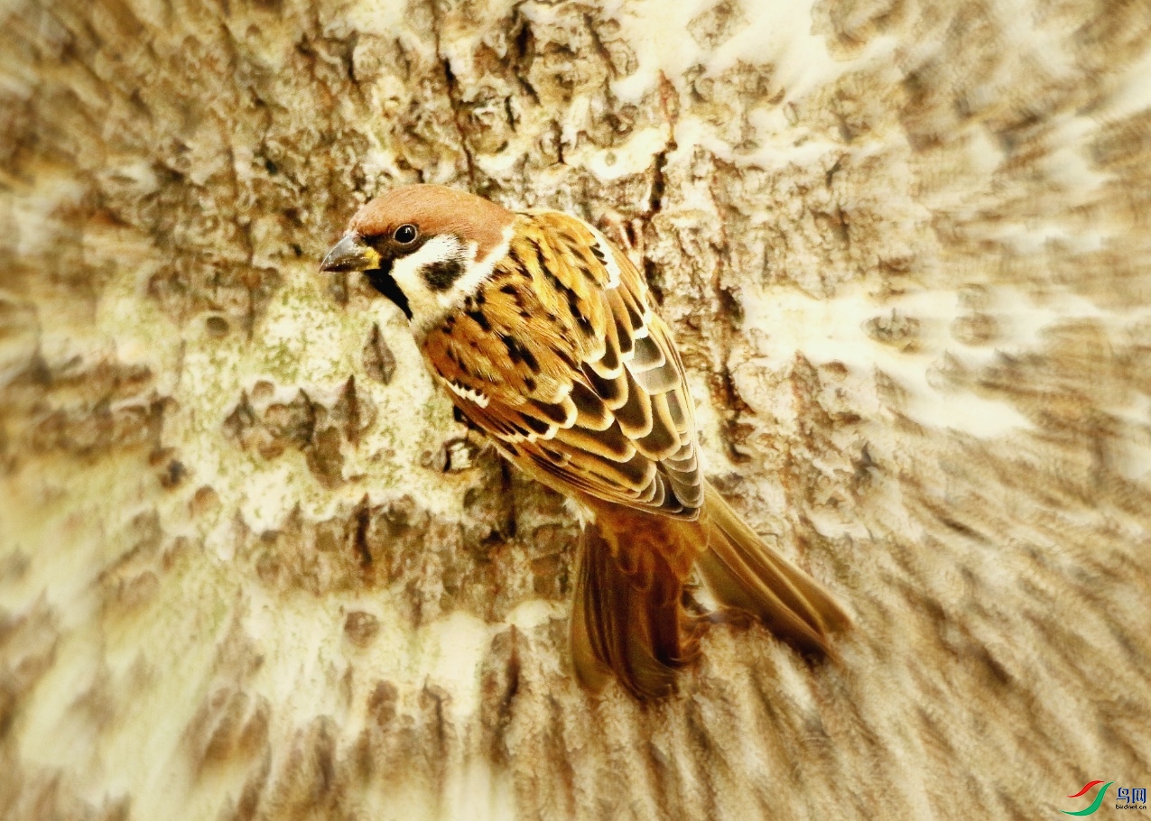 PicsArt_12-23-11.16.15-01.jpeg