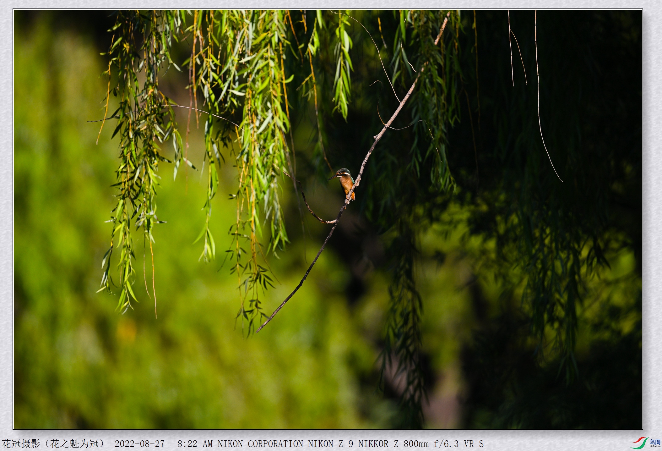 DSC_3890B-1_����.jpg