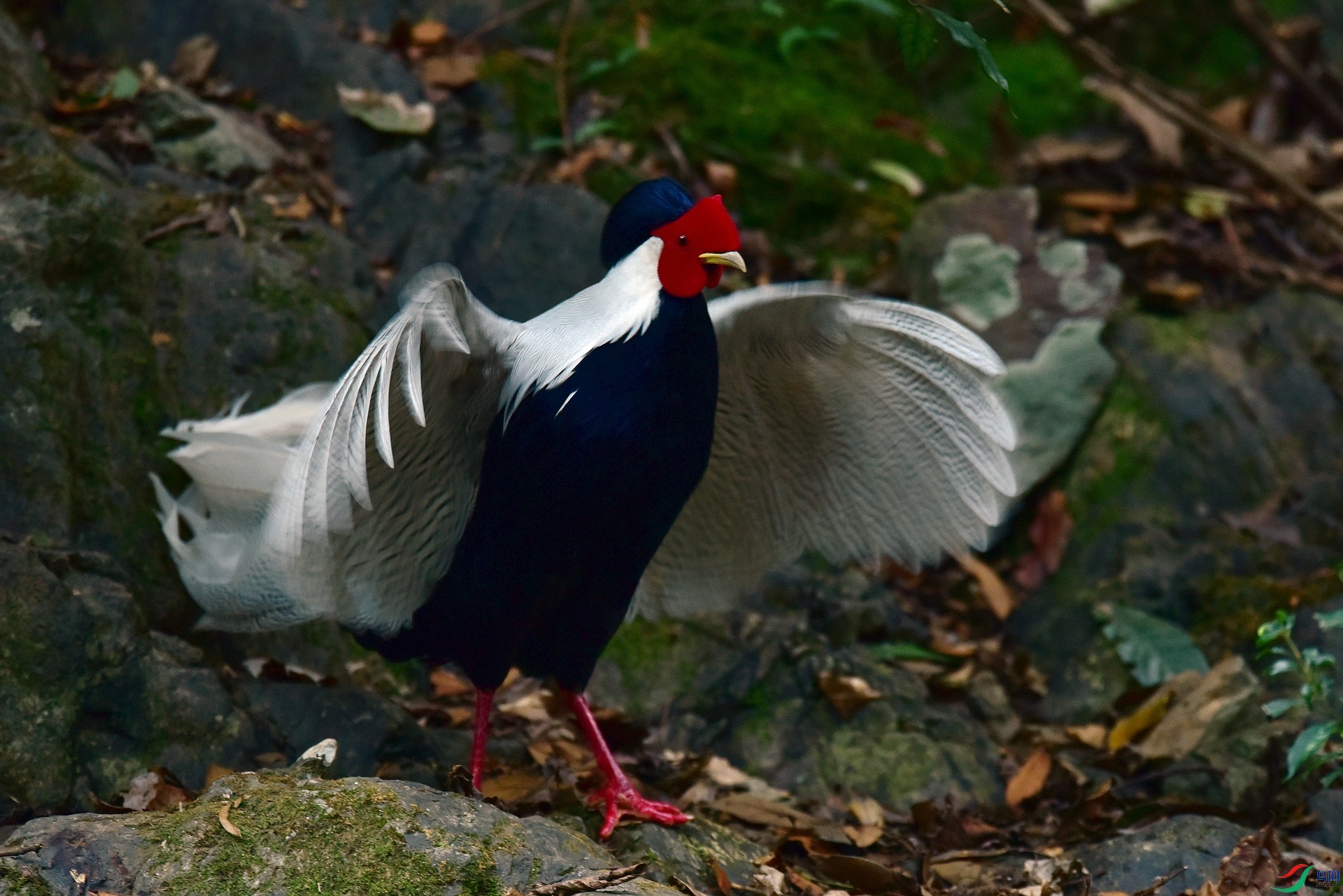 D8I_3606.jpg