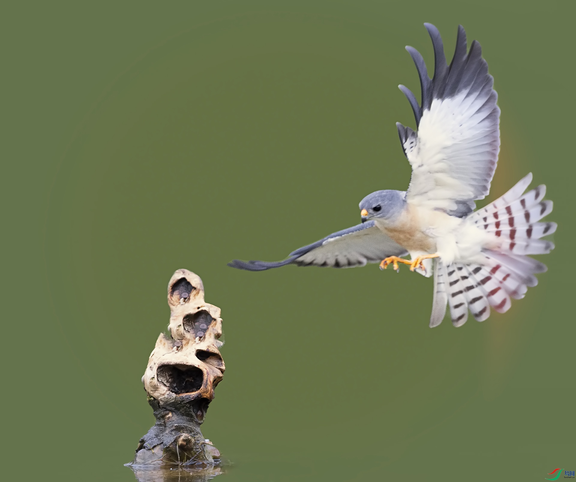 019A34078 ����.jpg