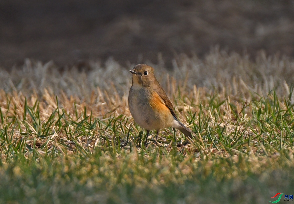 DSC_8497.jpg