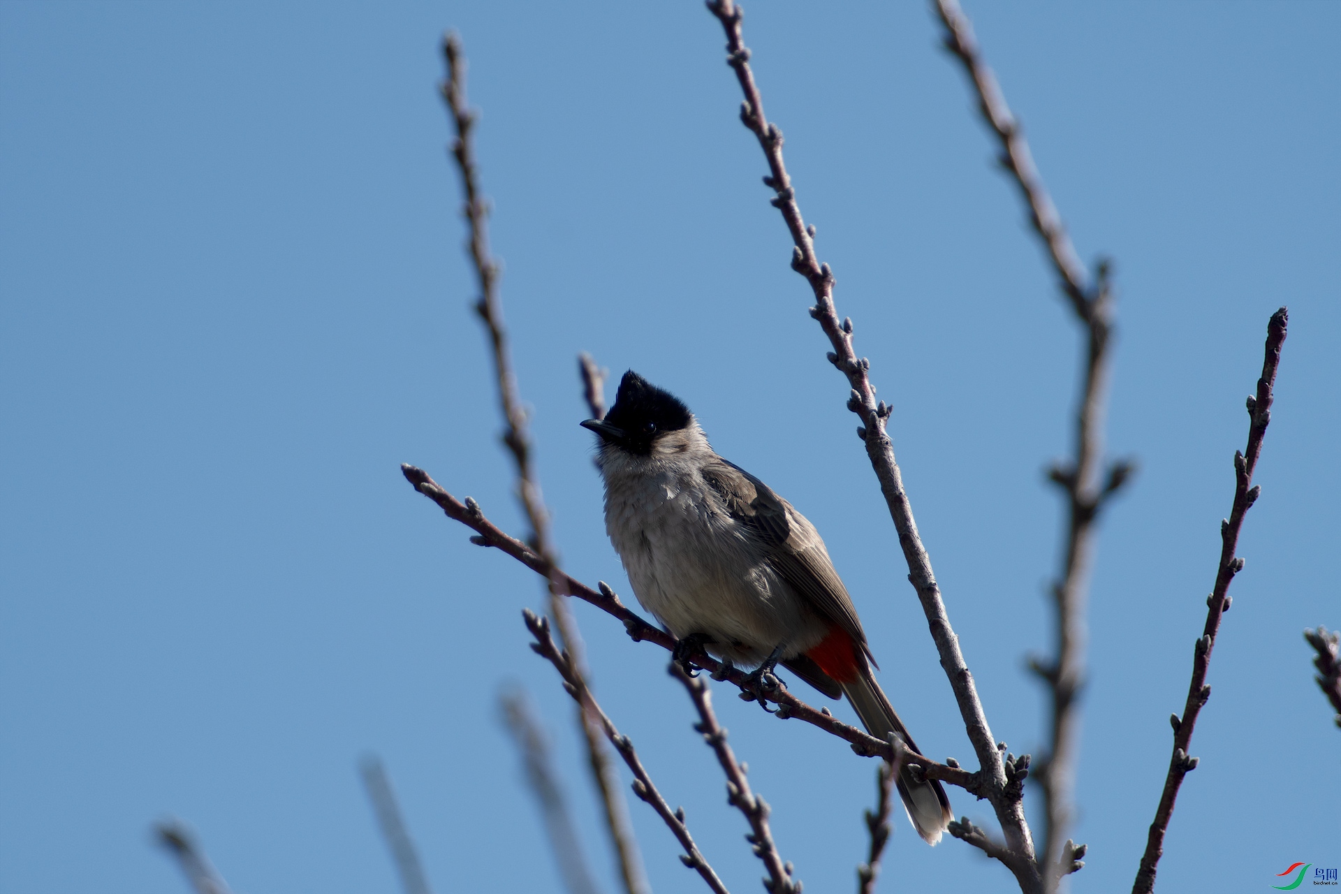 DSC_6212-7.jpg