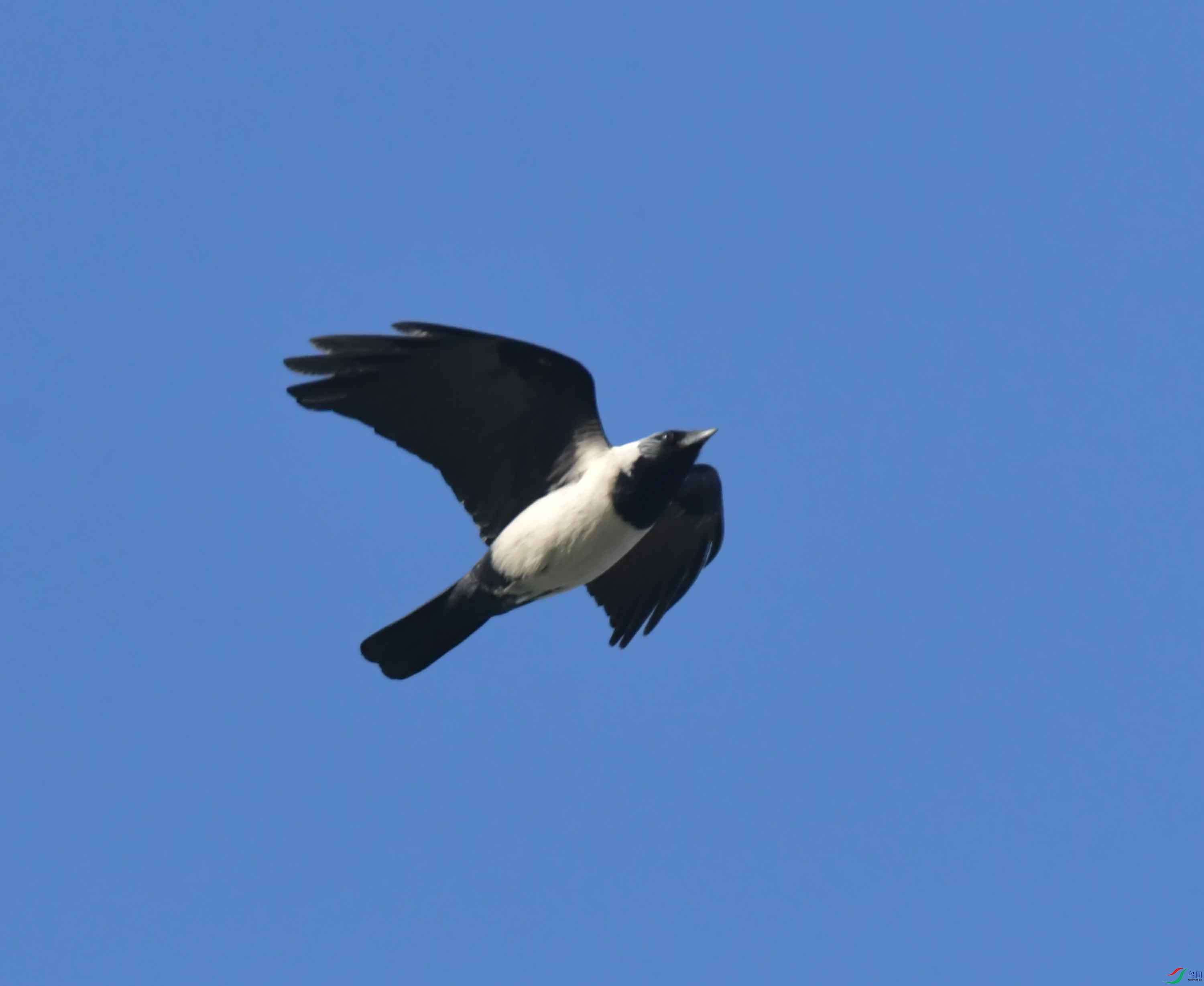 DSC_7869.JPG