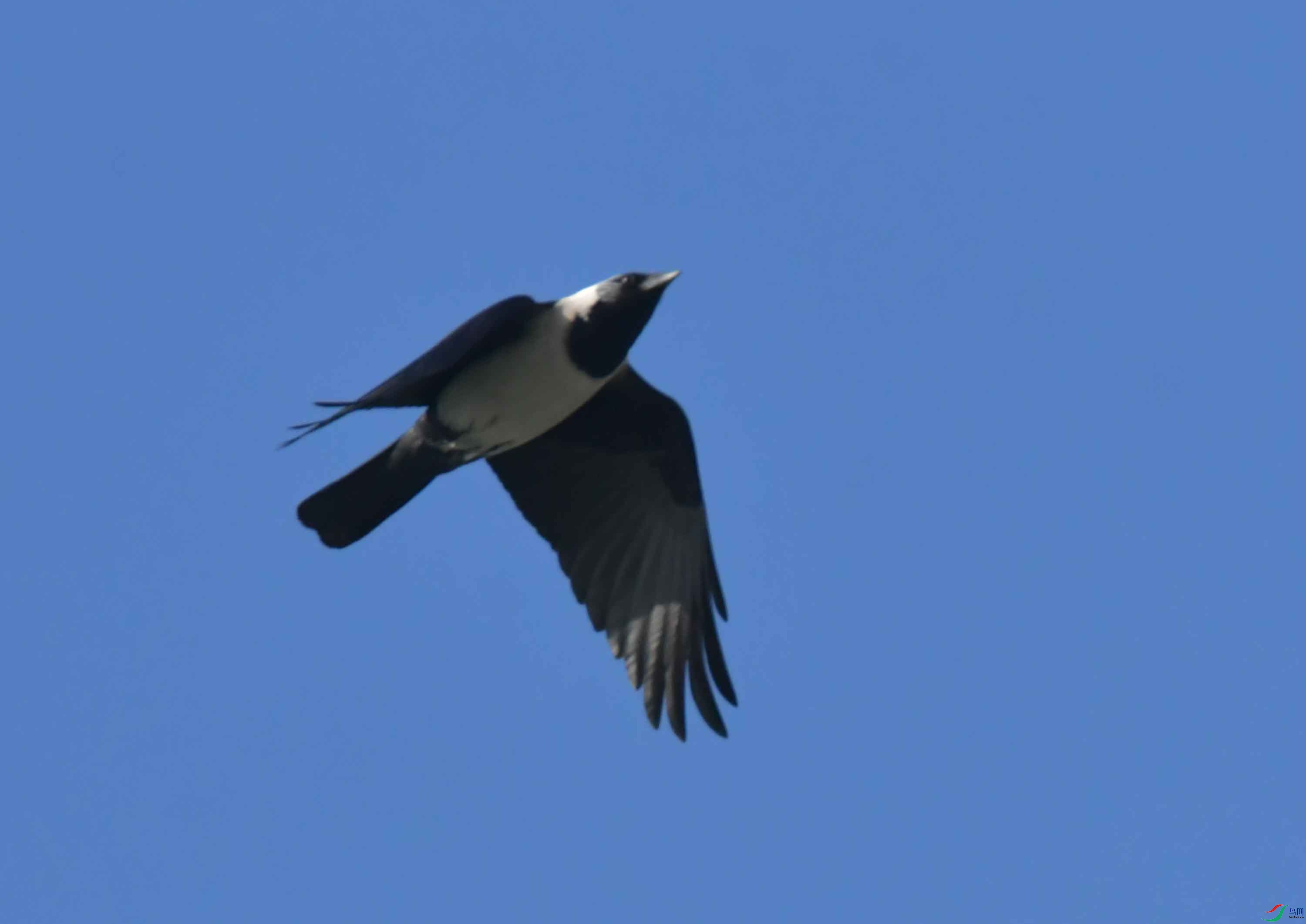 DSC_7870.JPG