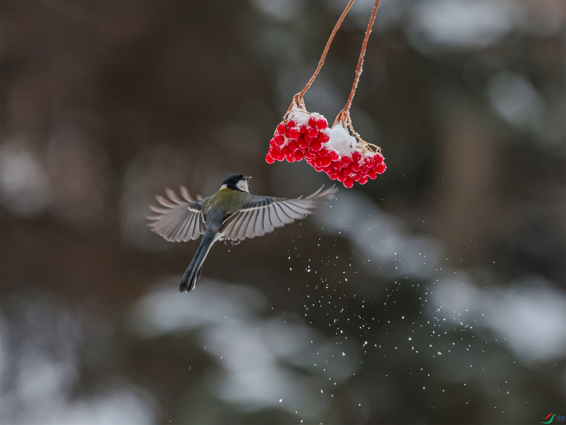 1K3A2570 ����1.jpg