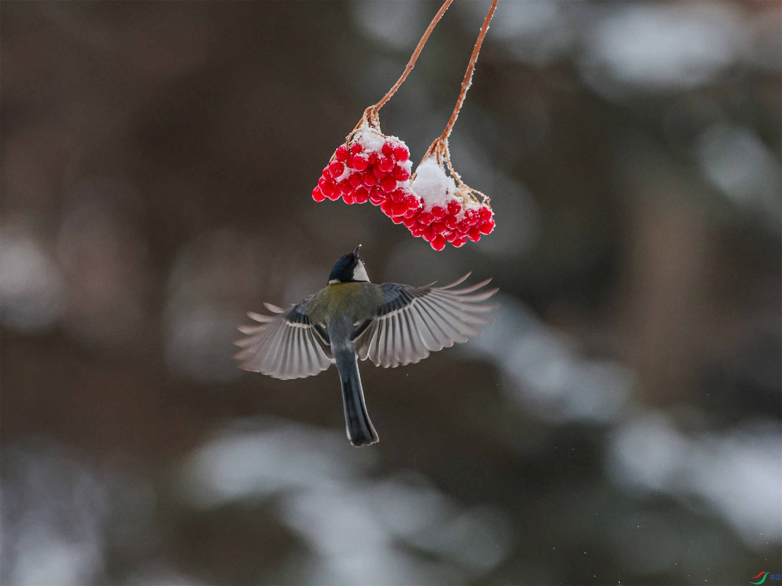 1K3A2573 ����1.jpg