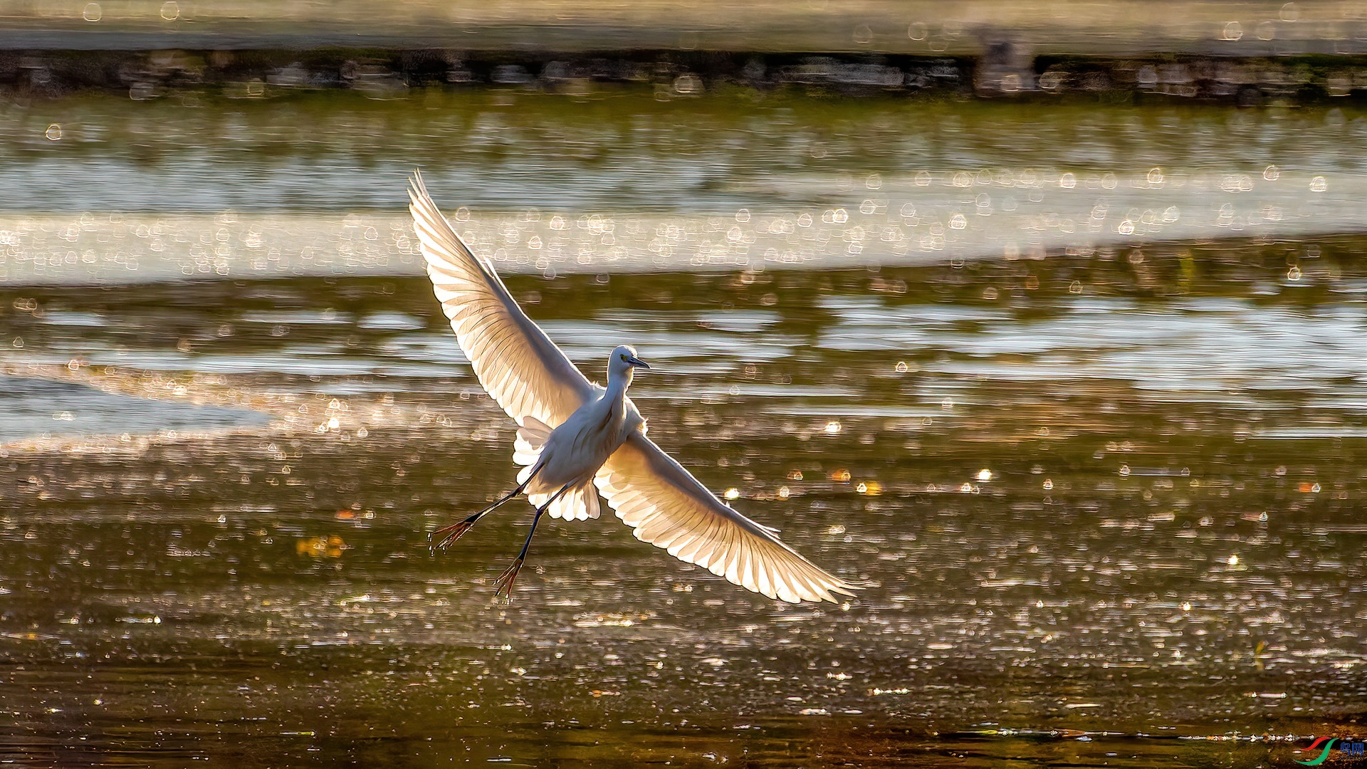 _MG_9829.jpg