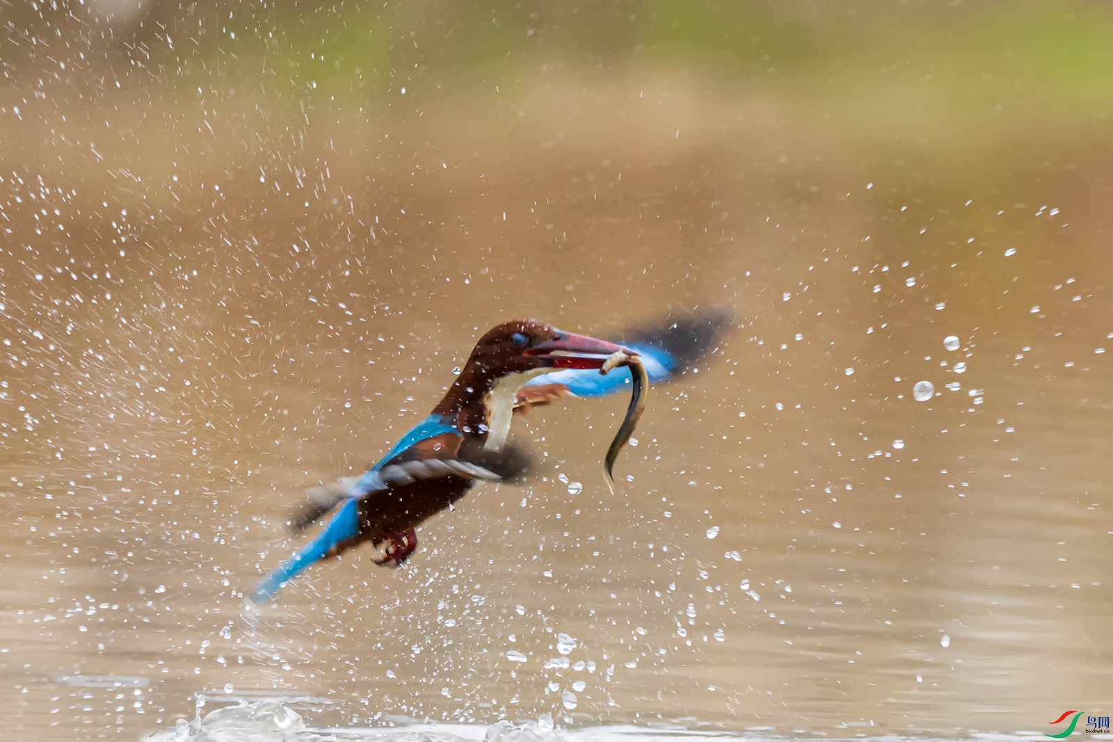 hnxyR221116 (1323).jpg