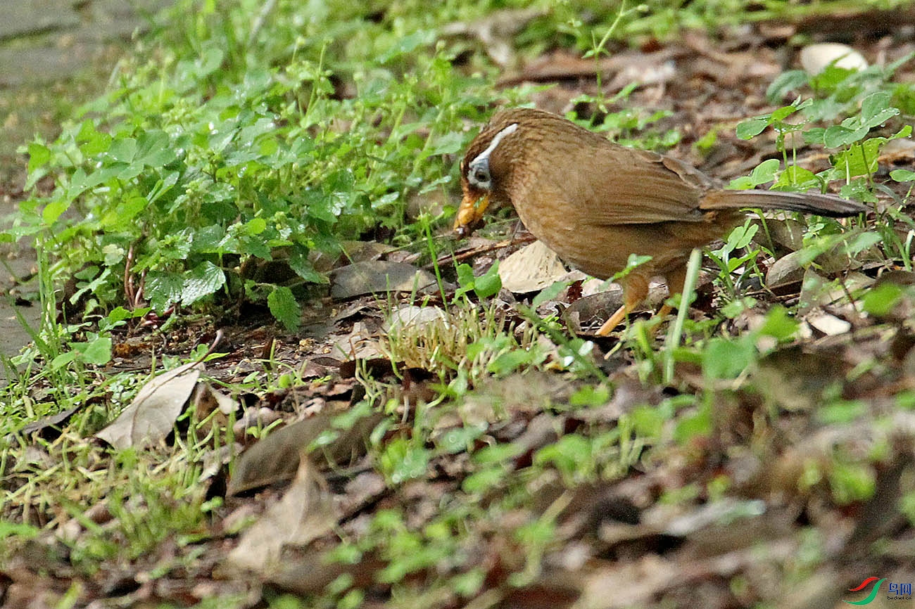 IMG_9735.jpg