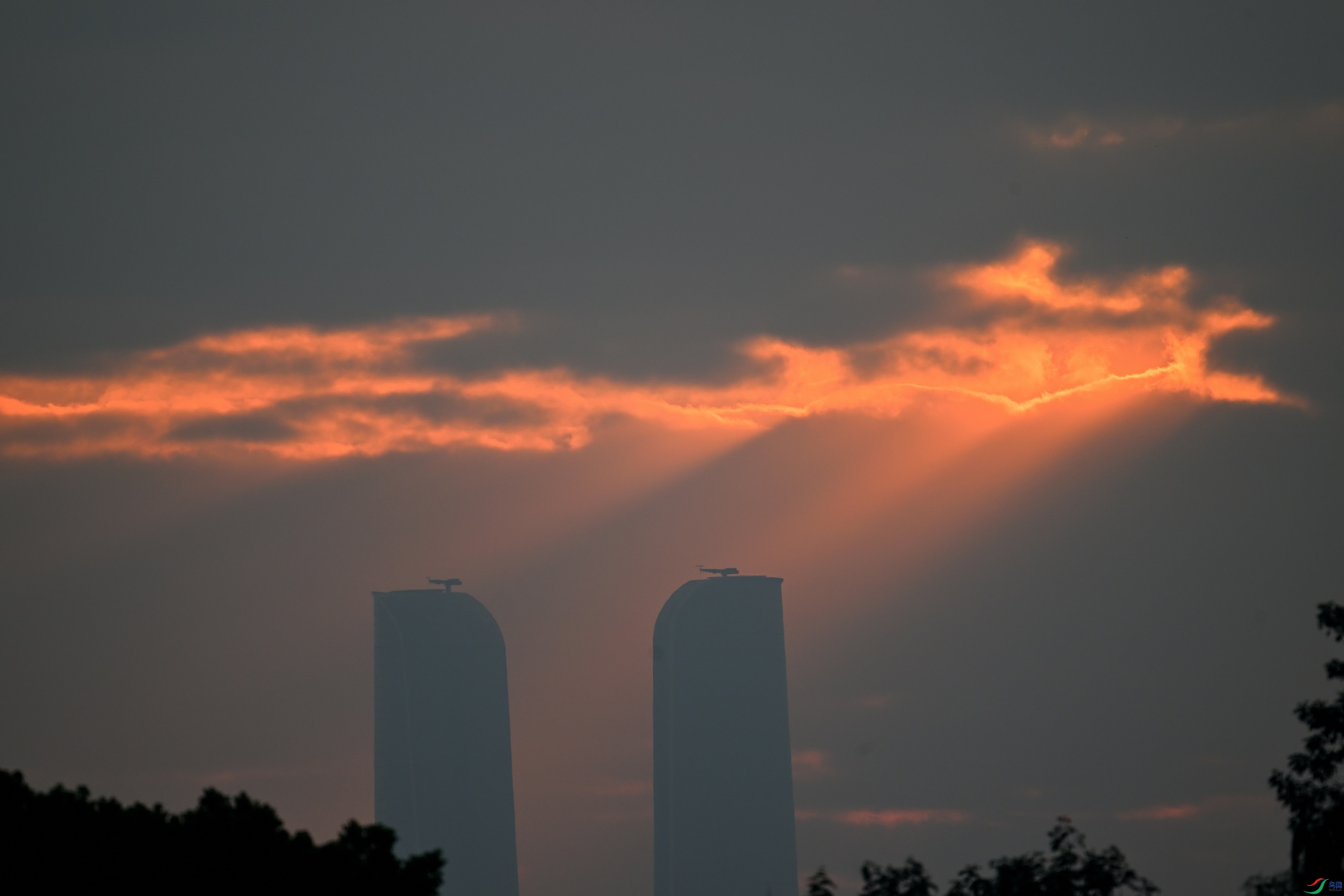 DSC_8835.JPG