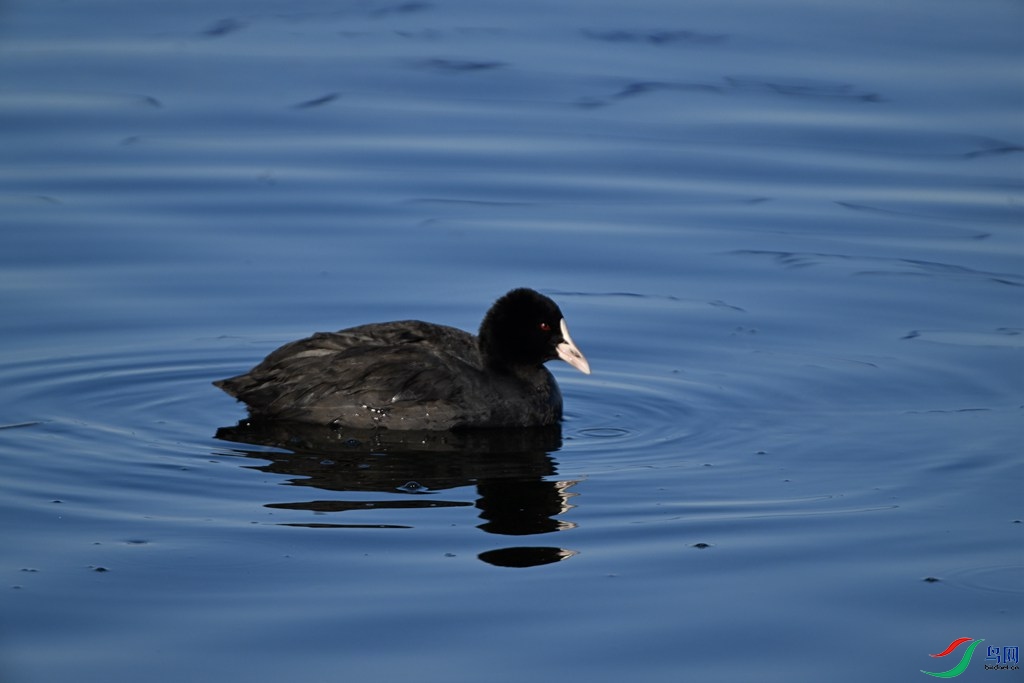 DSC_5139_����.jpg
