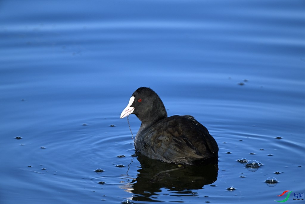 DSC_5143_����.jpg