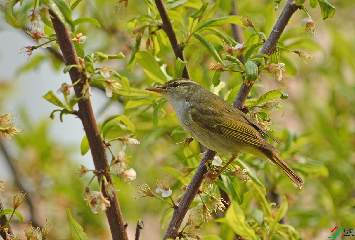 DSC_0035.jpg